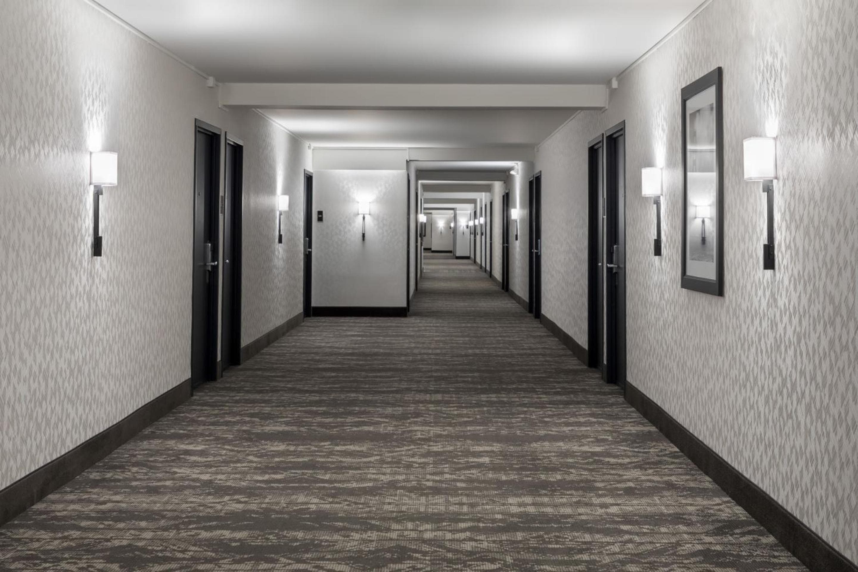 Hotel Caza hotel, 1300 Columbus Ave, San Francisco, United States — photo 41