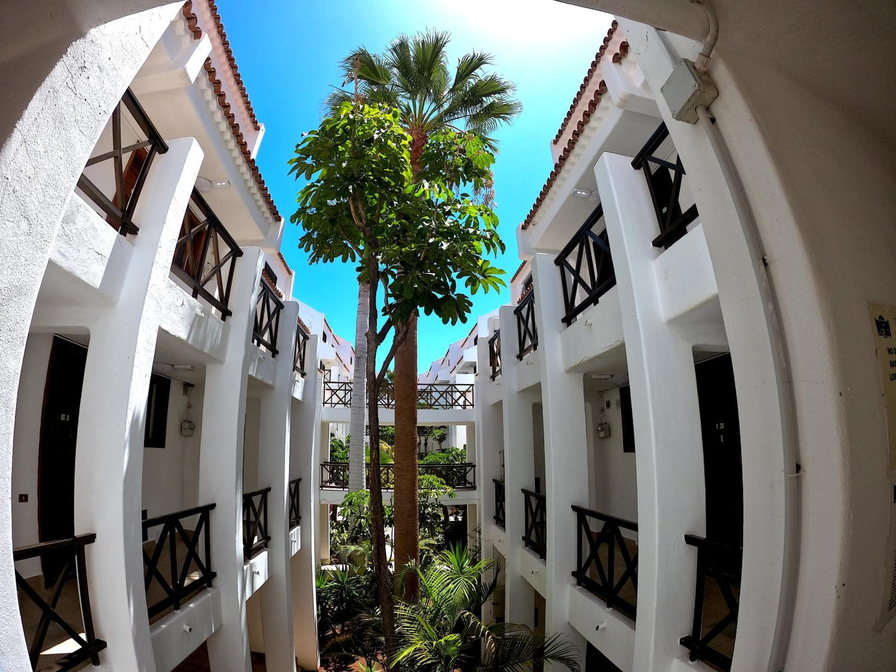 Parque Santiago I - 2 Bedroom - 1 Bathroom - Open plan living - Kitchen area - Extra large balcony - First Floor Apartment — 2