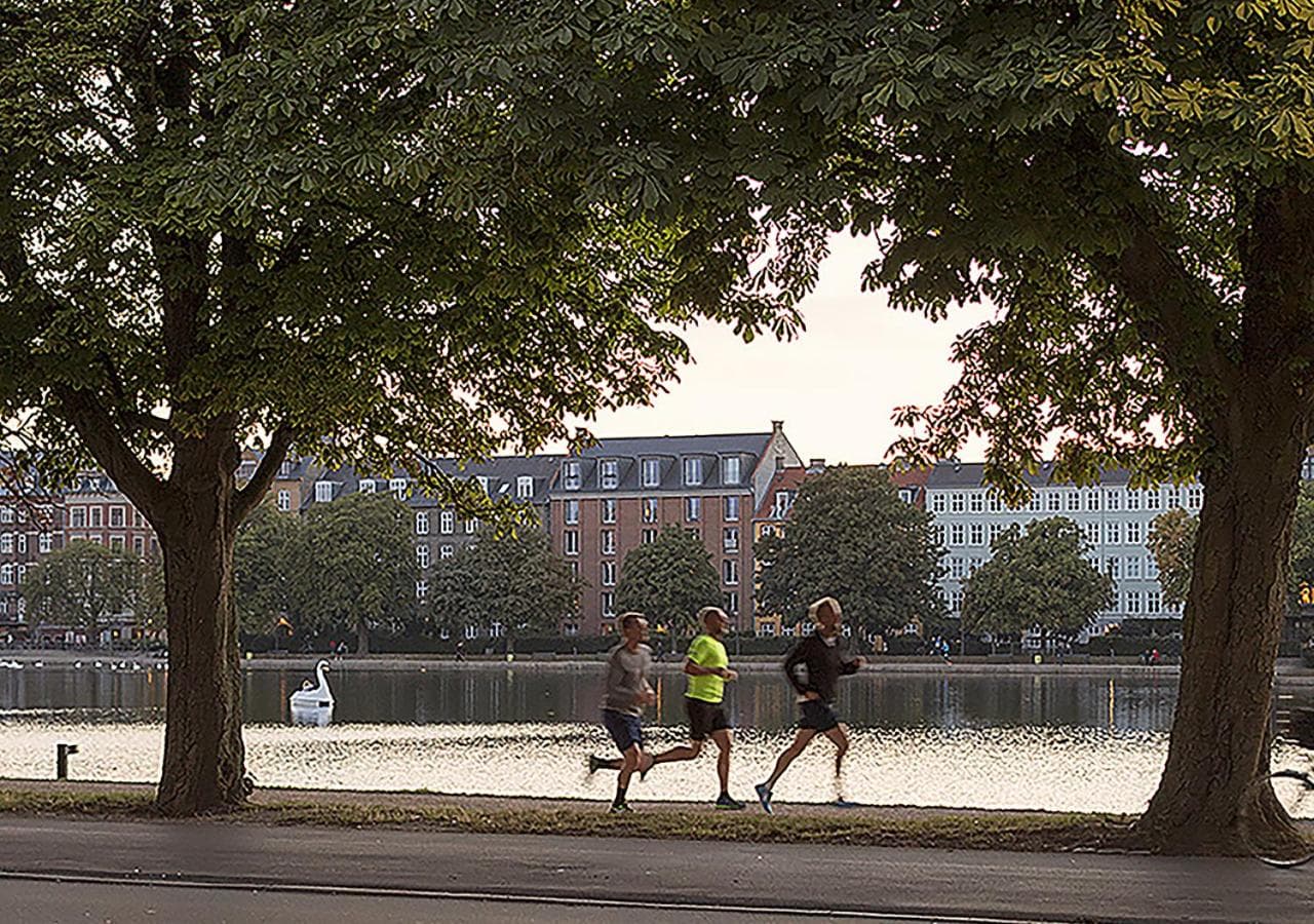 Hotel Kong Arthur hotel, Nørre Søgade 11, Copenhagen, Denmark — photo 3