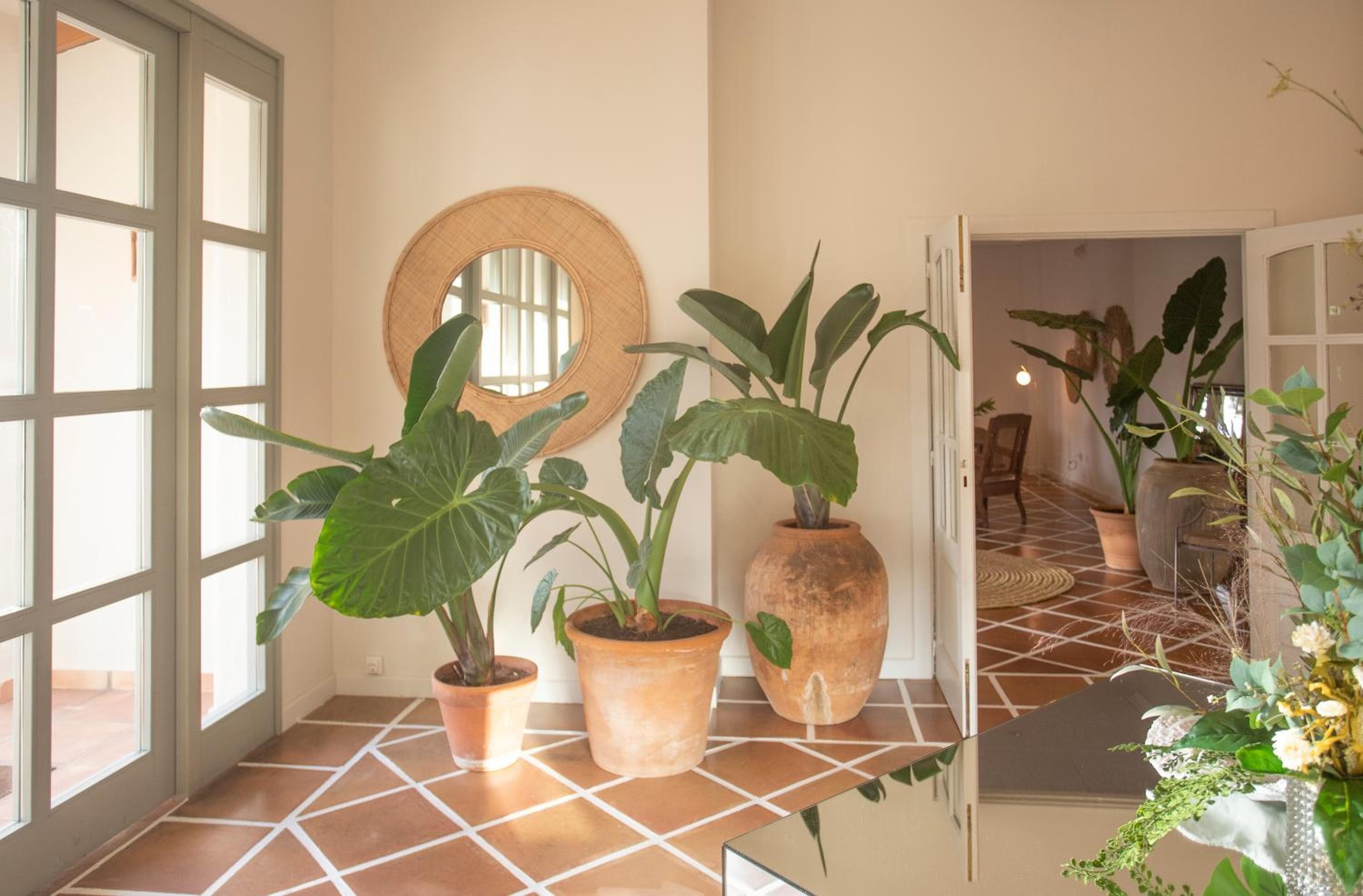 Hotel Ritual de Terra & SPA — 5
