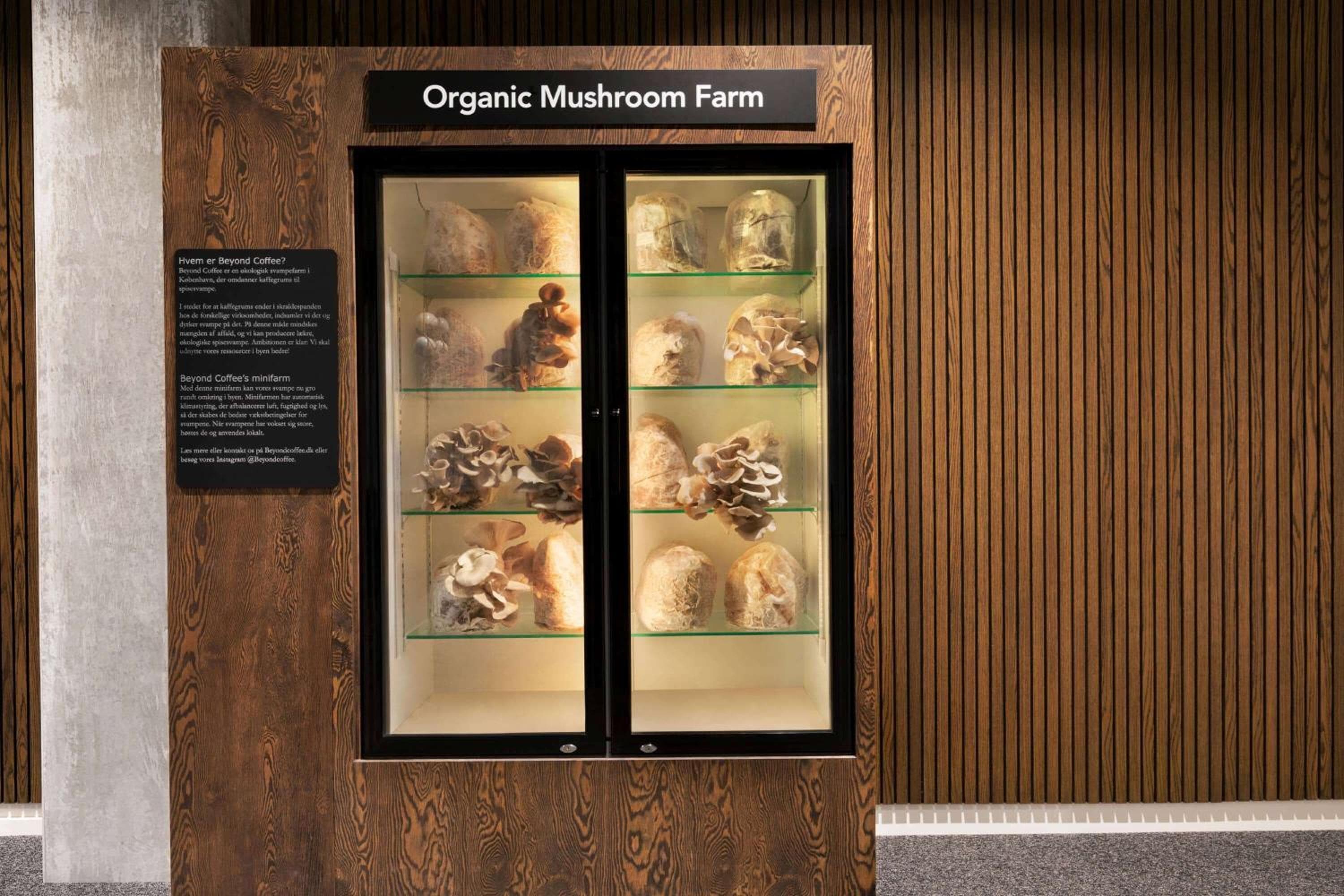 Comwell Copenhagen Portside Dolce by Wyndham hotel, Alexandriagade 1, Copenhagen, Denmark — photo 55