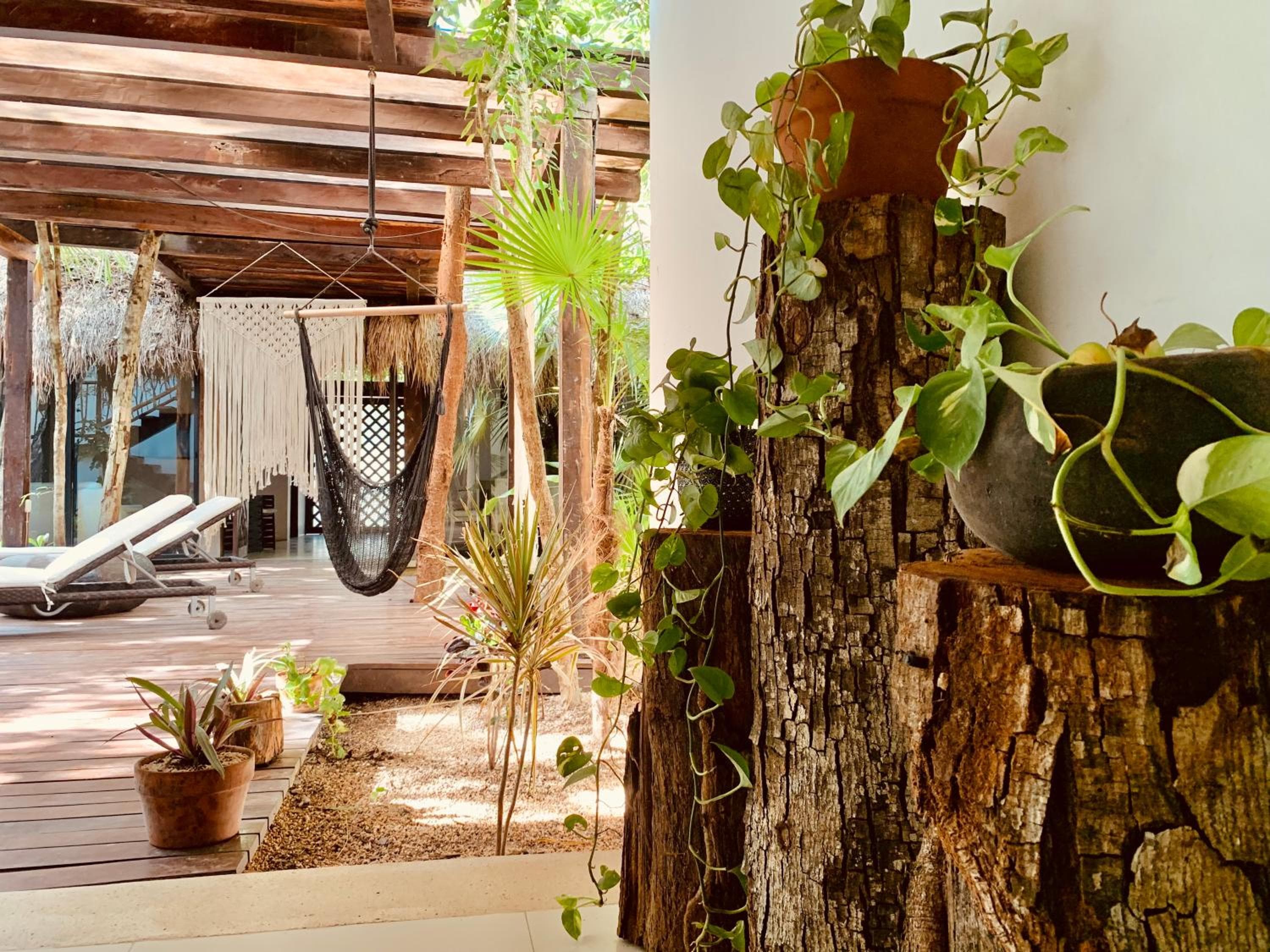 Orchid House Tulum Jungle — 11
