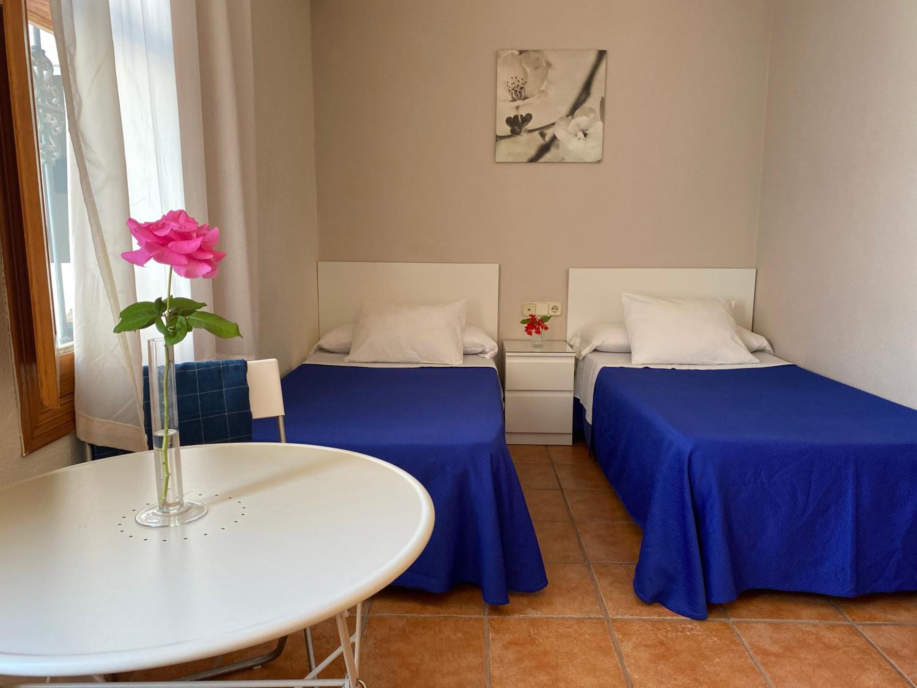 Hostal Moscatel — 20