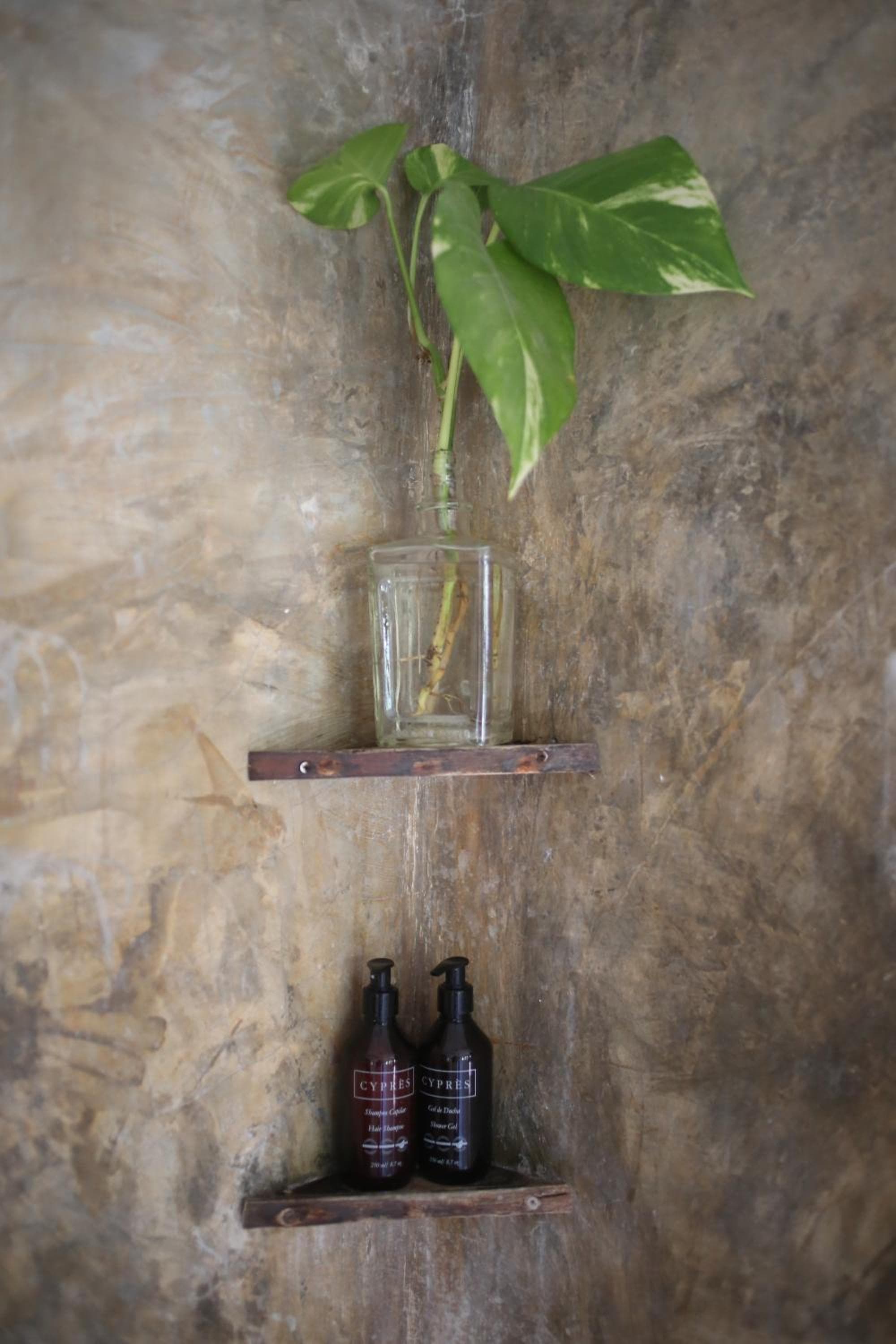 Casa Violeta — 5