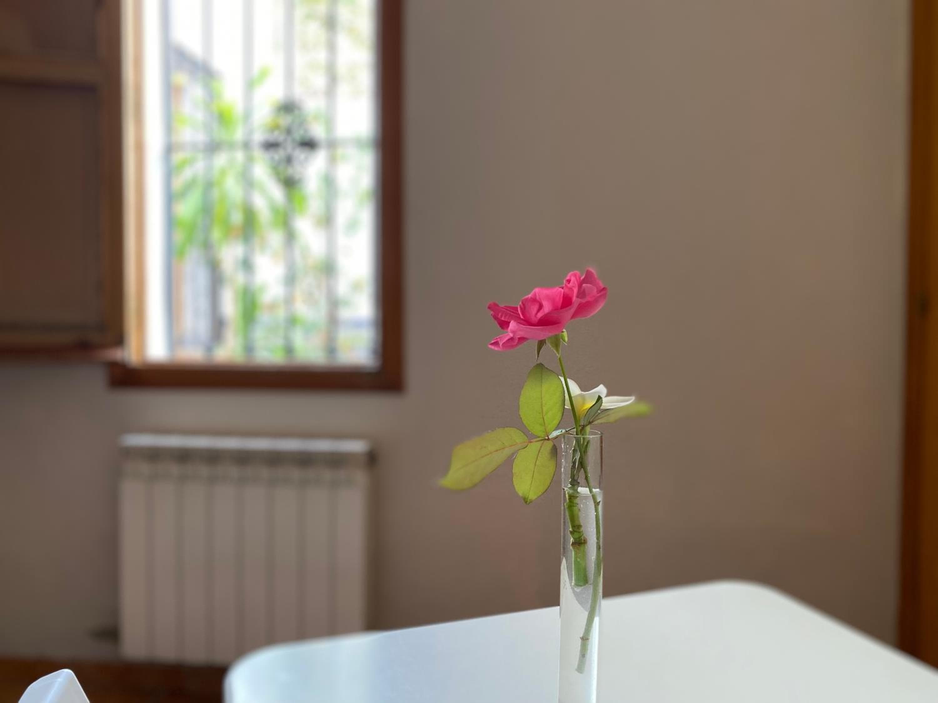 Hostal Moscatel — 21