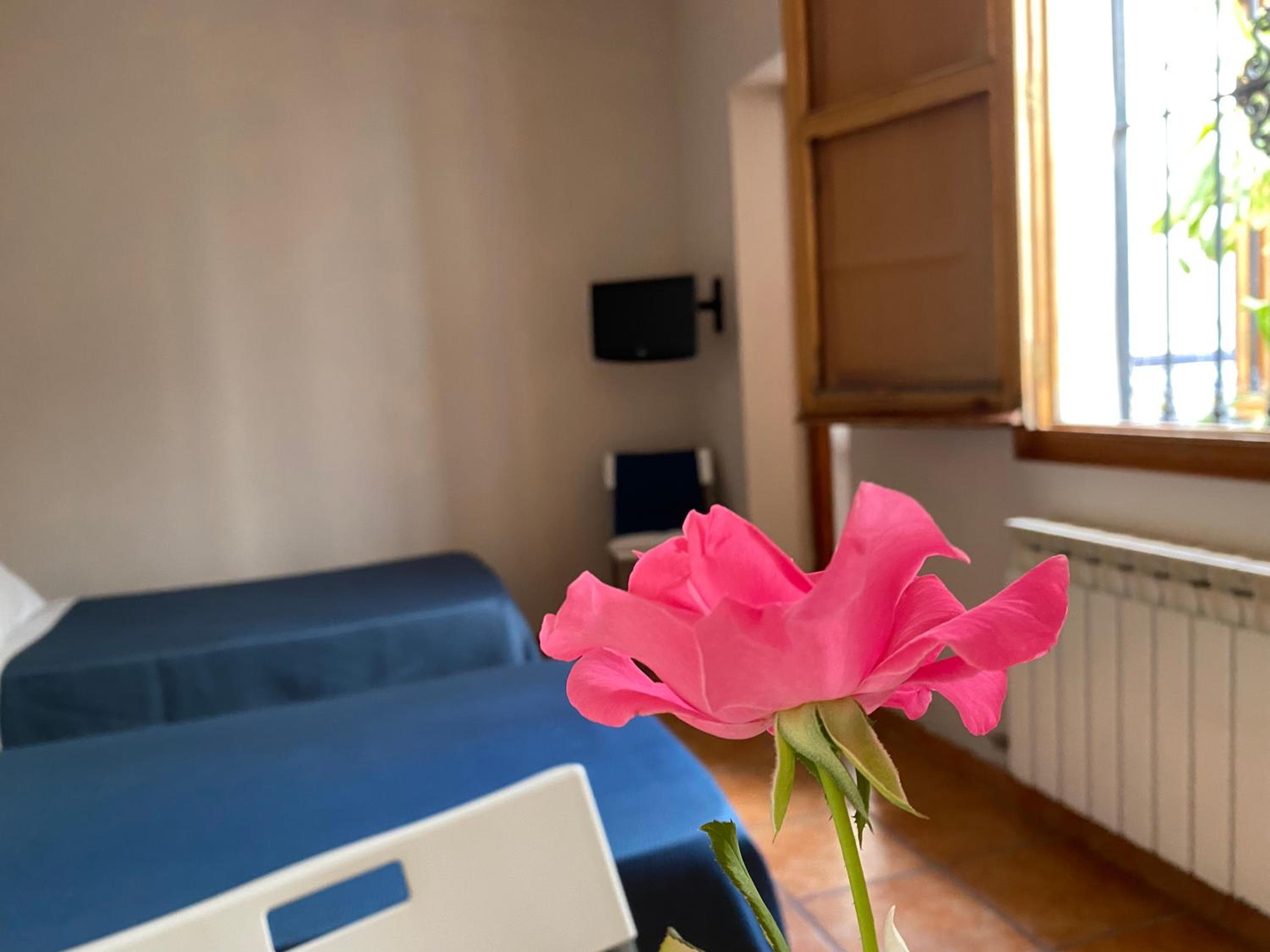 Hostal Moscatel — 15