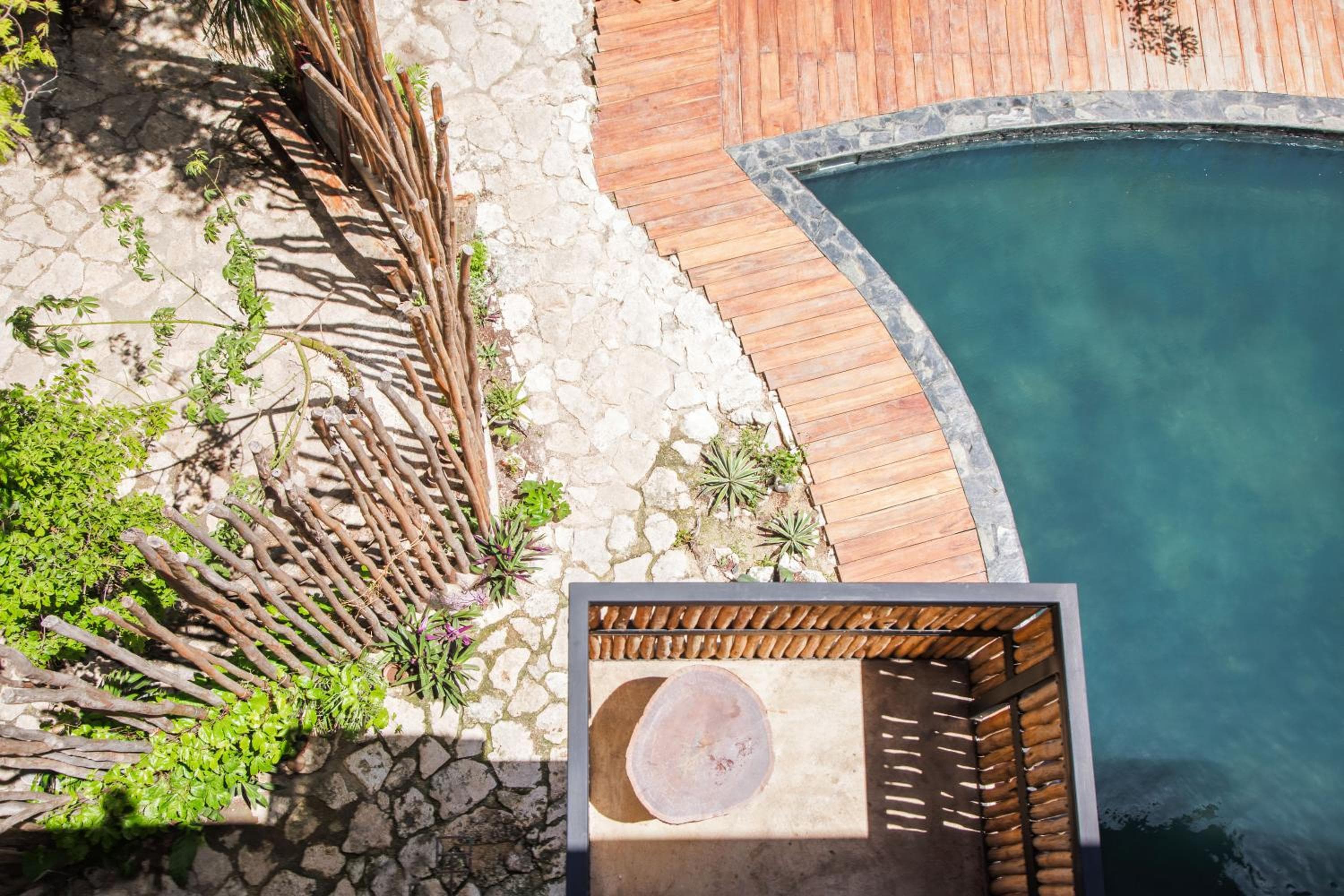Botánica Tulum — 5