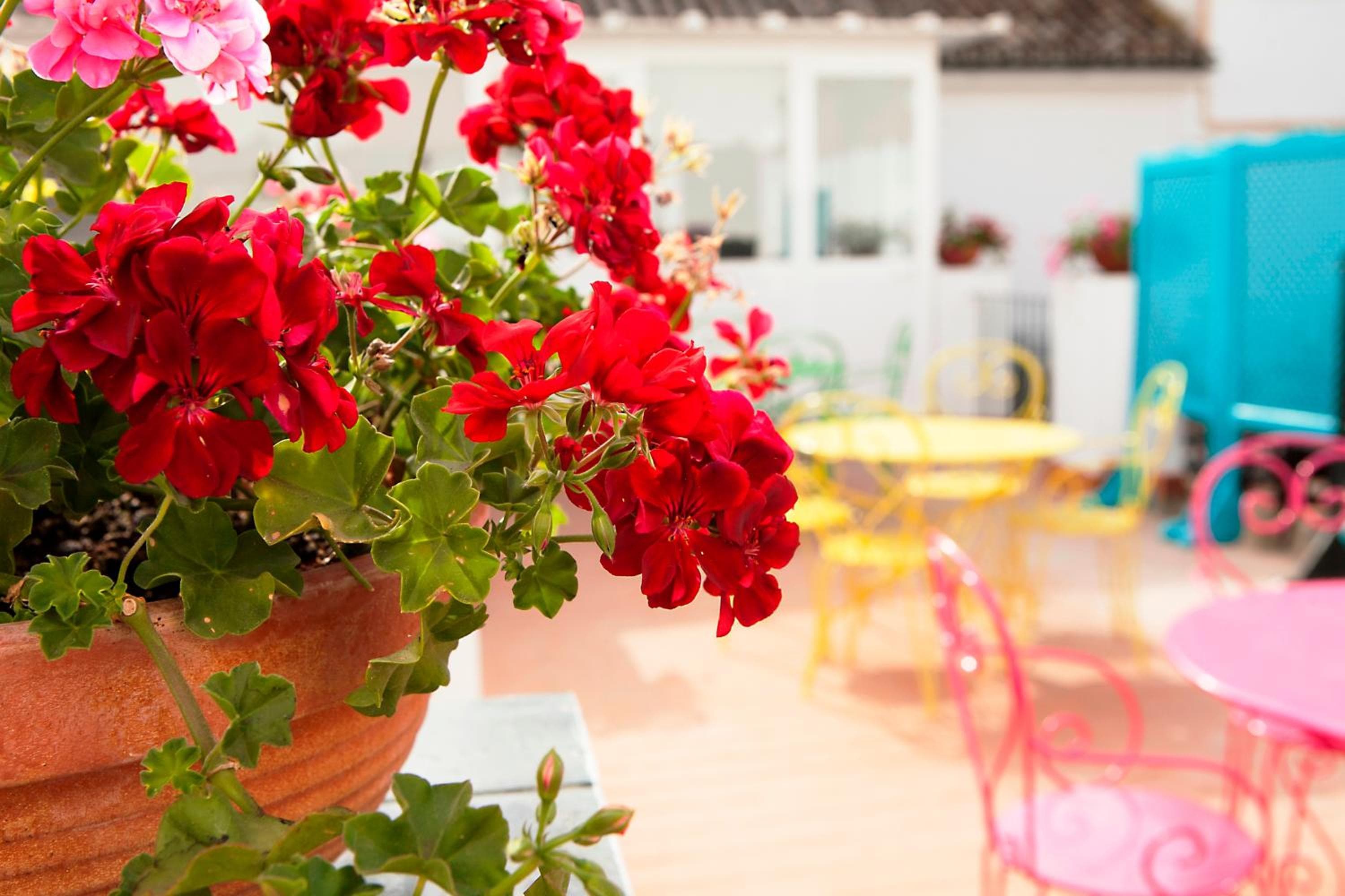Casual de las Letras Sevilla by Casual Hoteles — 25