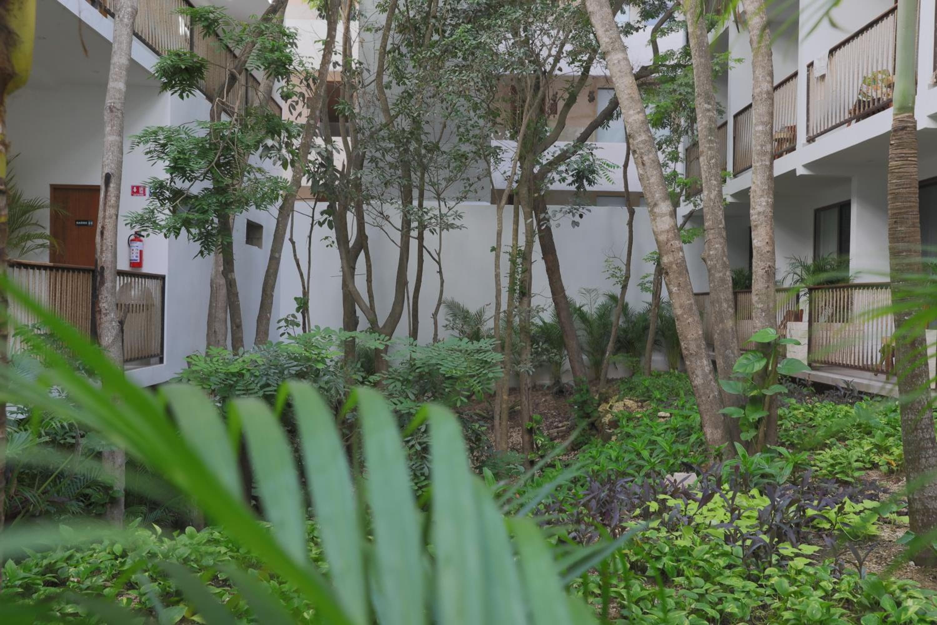 Hotel Blanco Tulum Adults Only — 29