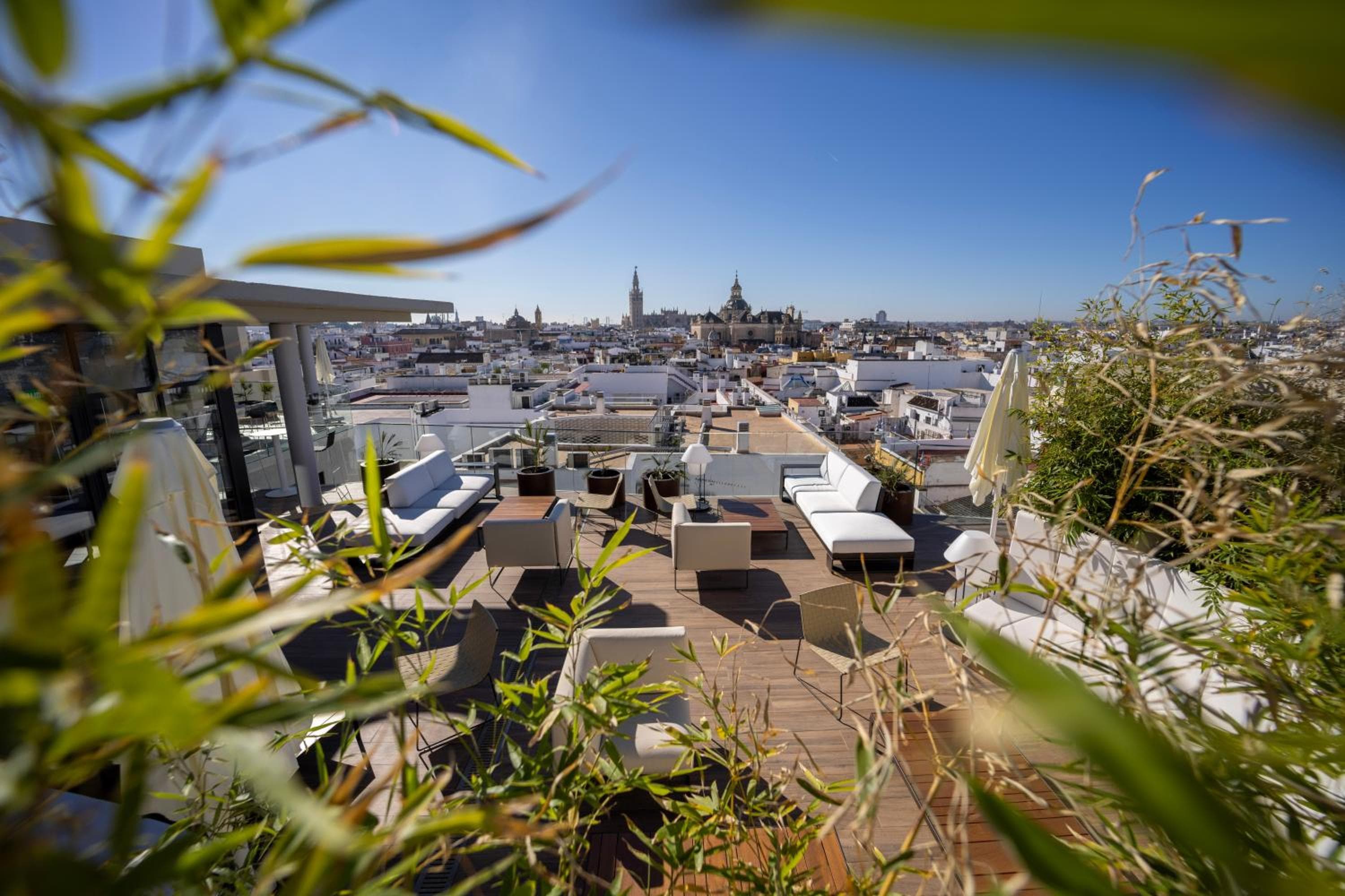 abba Sevilla — 5