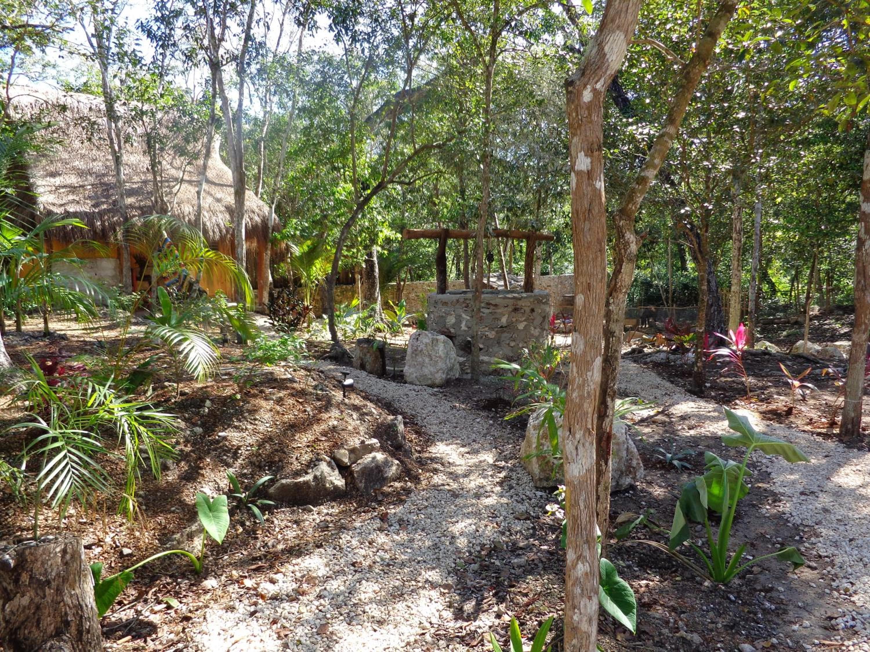 Casa Mango — 18