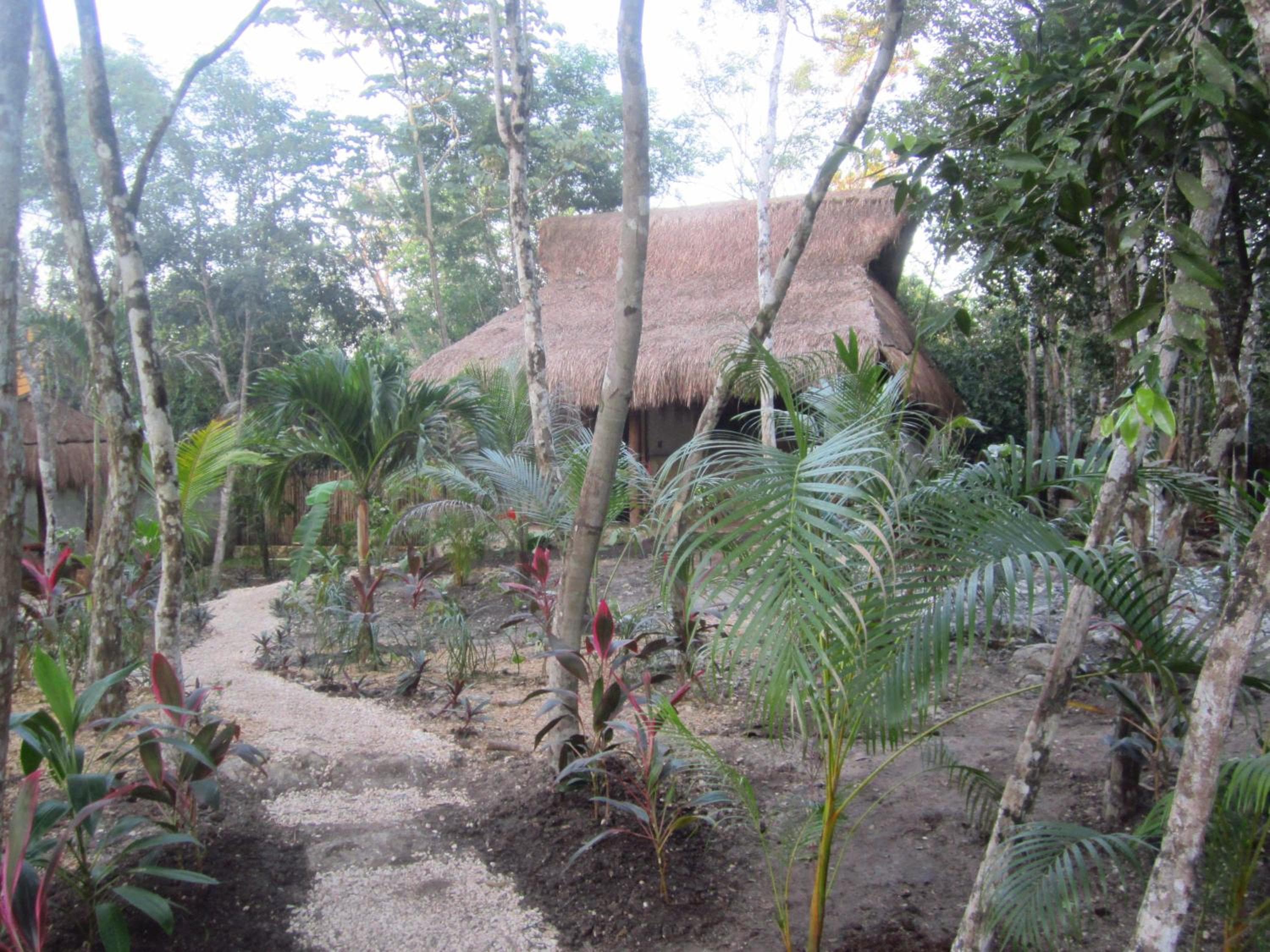 Casa Mango — 22