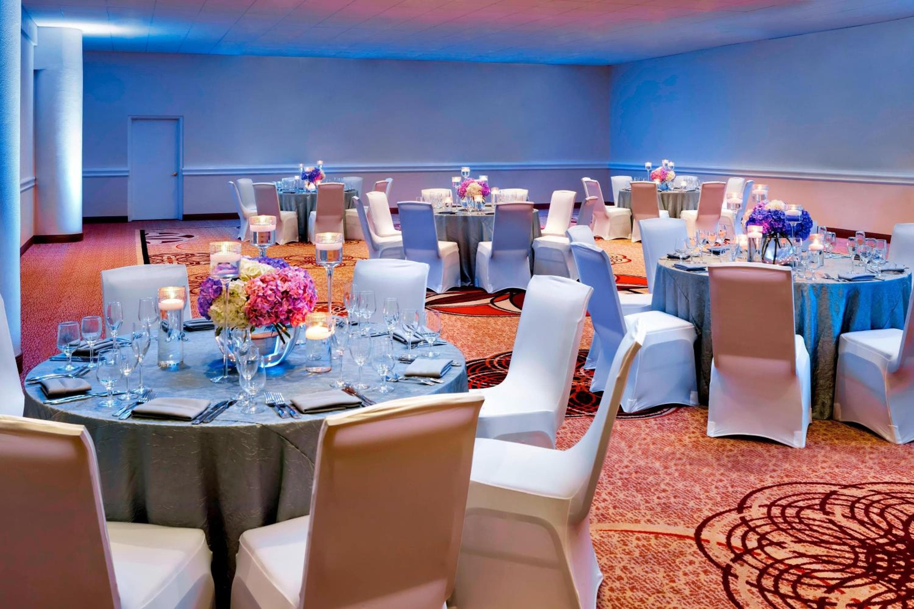 Sheraton Tampa Brandon Hotel — 5