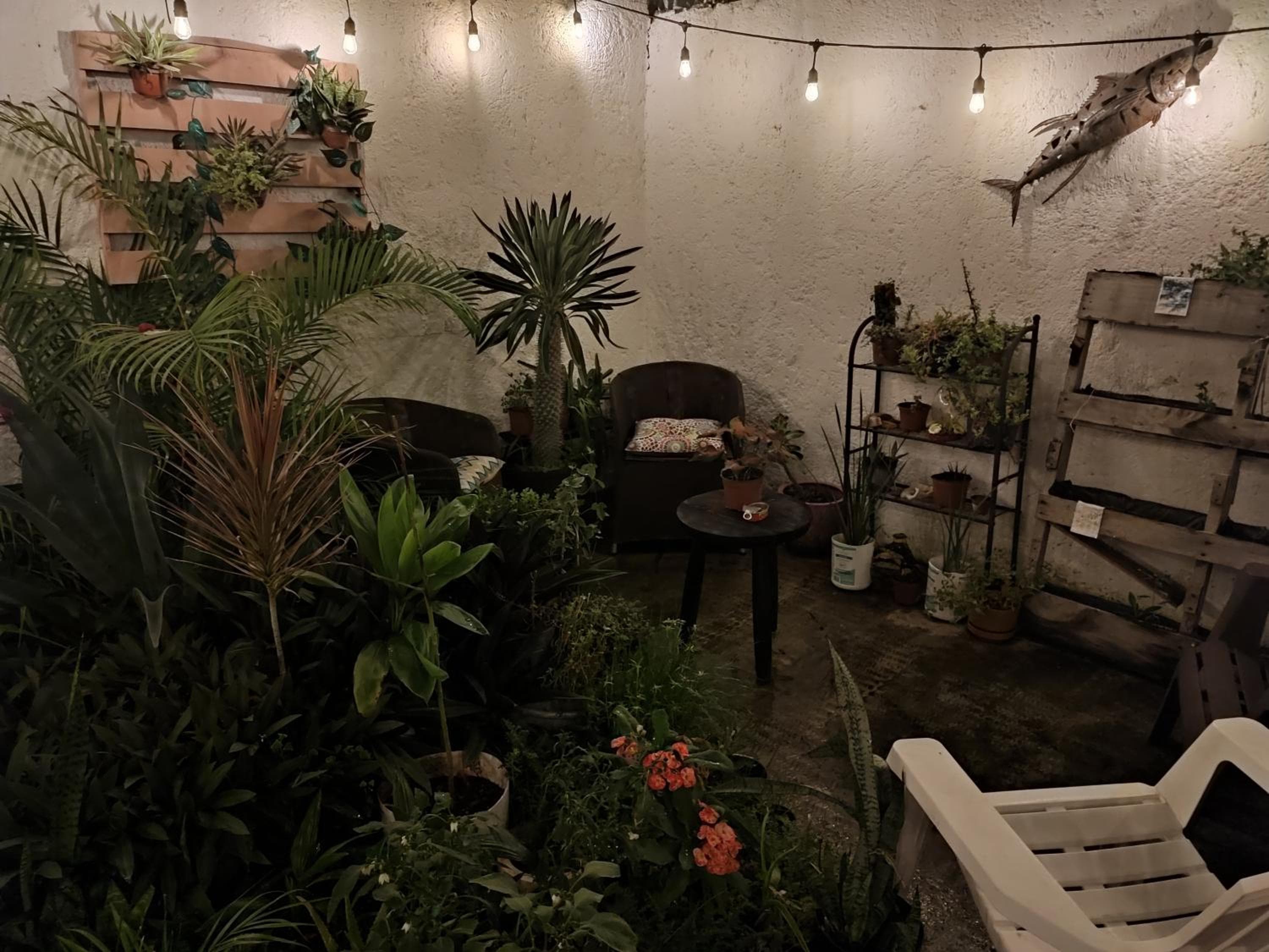 Tu Casa en el Caribe — 9