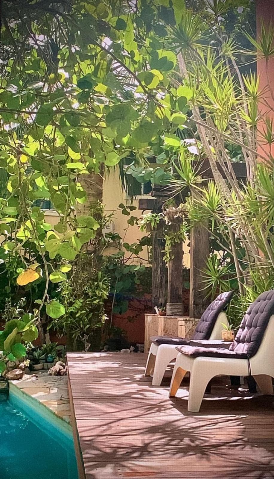Manaya Bed & Breakfast — 4