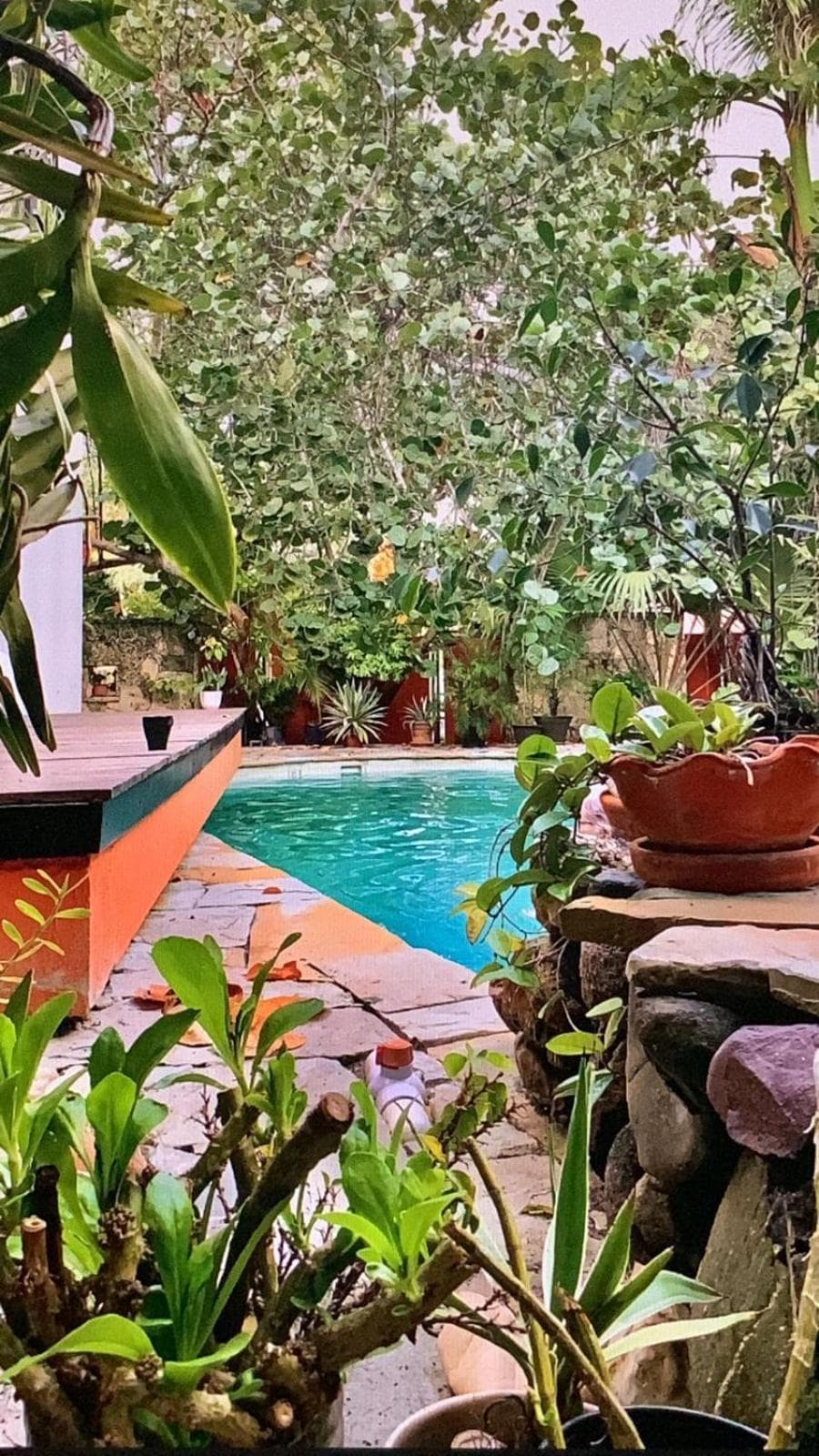 Manaya Bed & Breakfast — 17