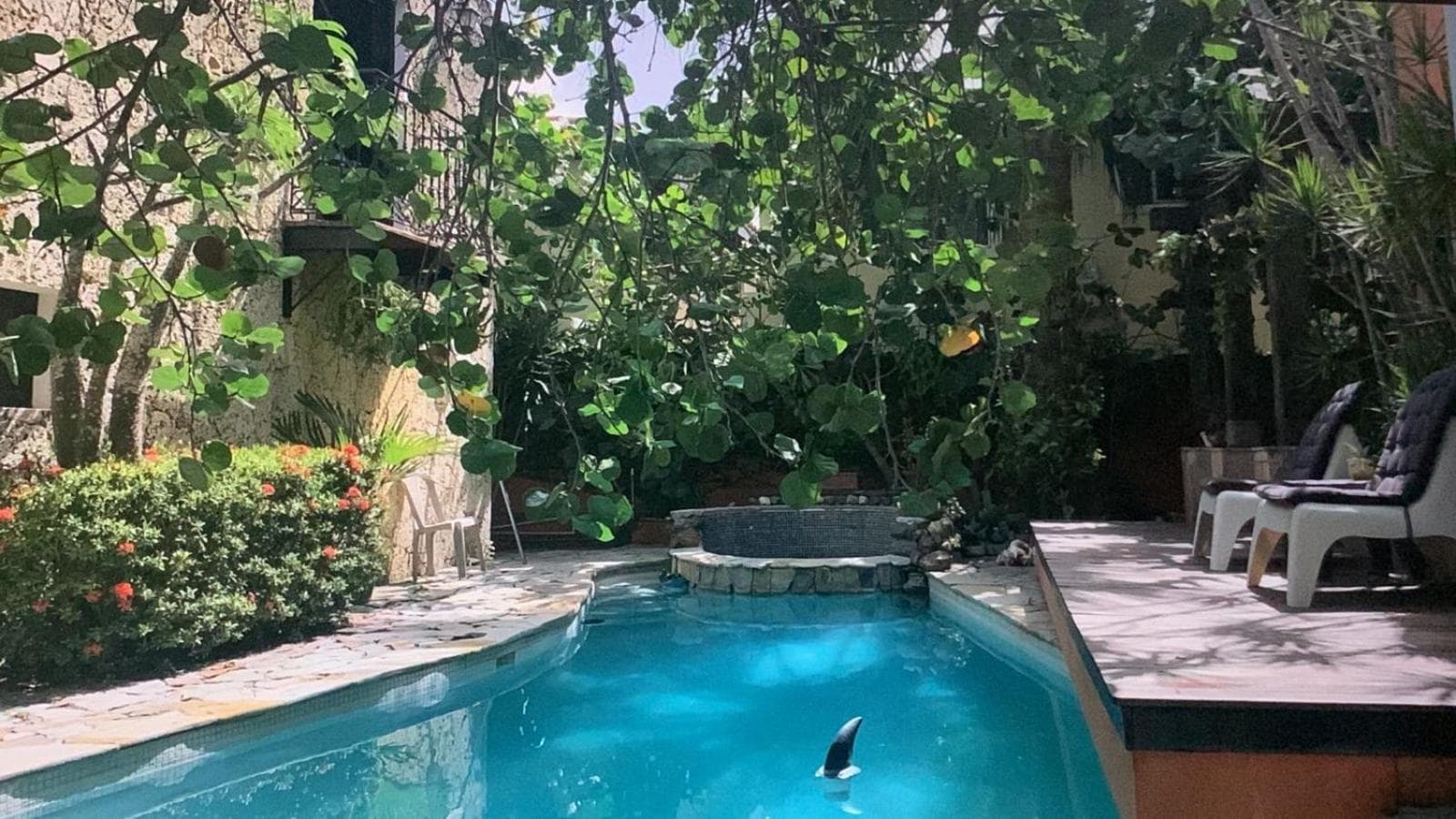 Manaya Bed & Breakfast — 14