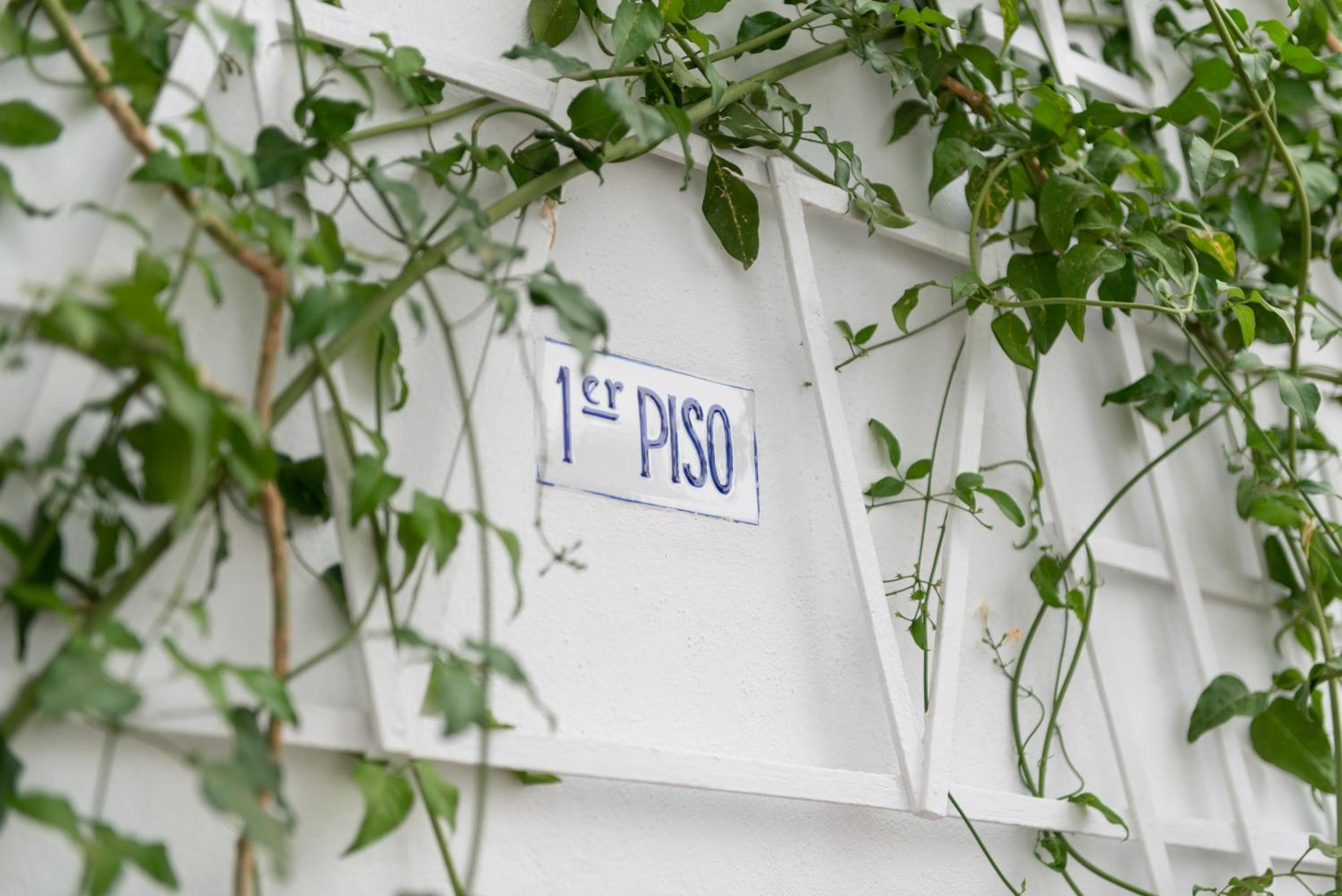 Pons Gasthaus — 2