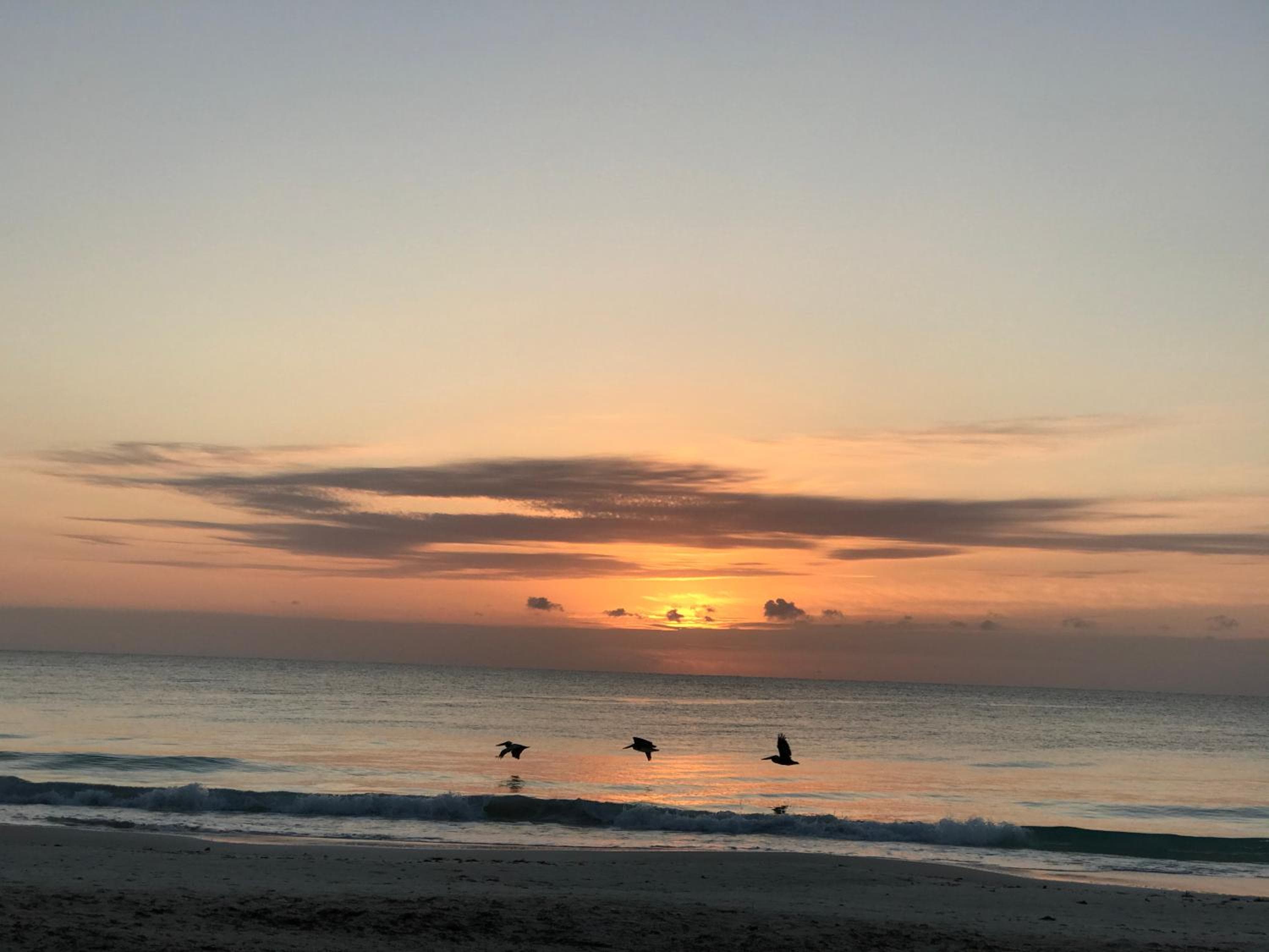 Chavez Eco Beach Camping and Cabañas — 6