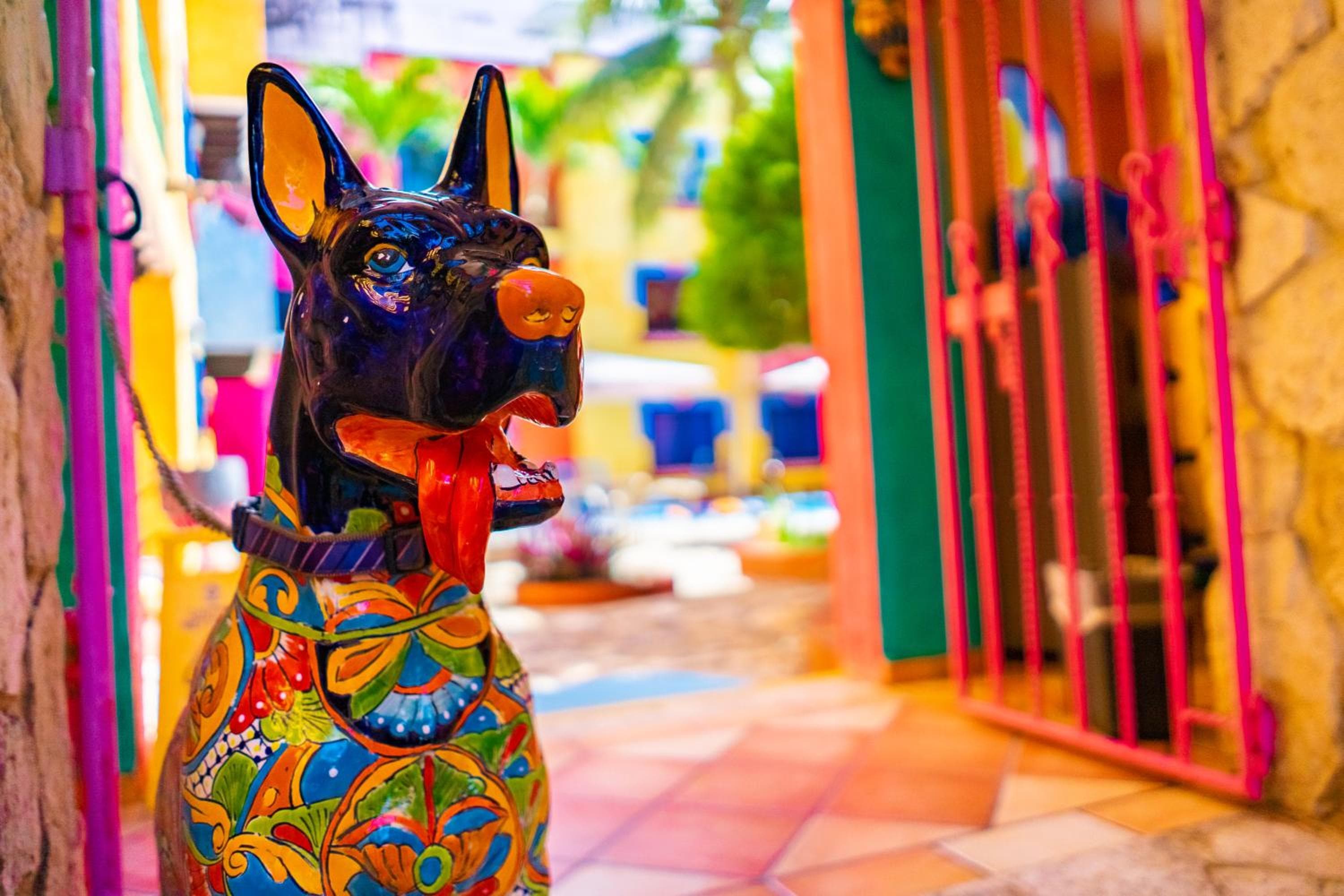 Hotel Hacienda Maria Bonita — 14