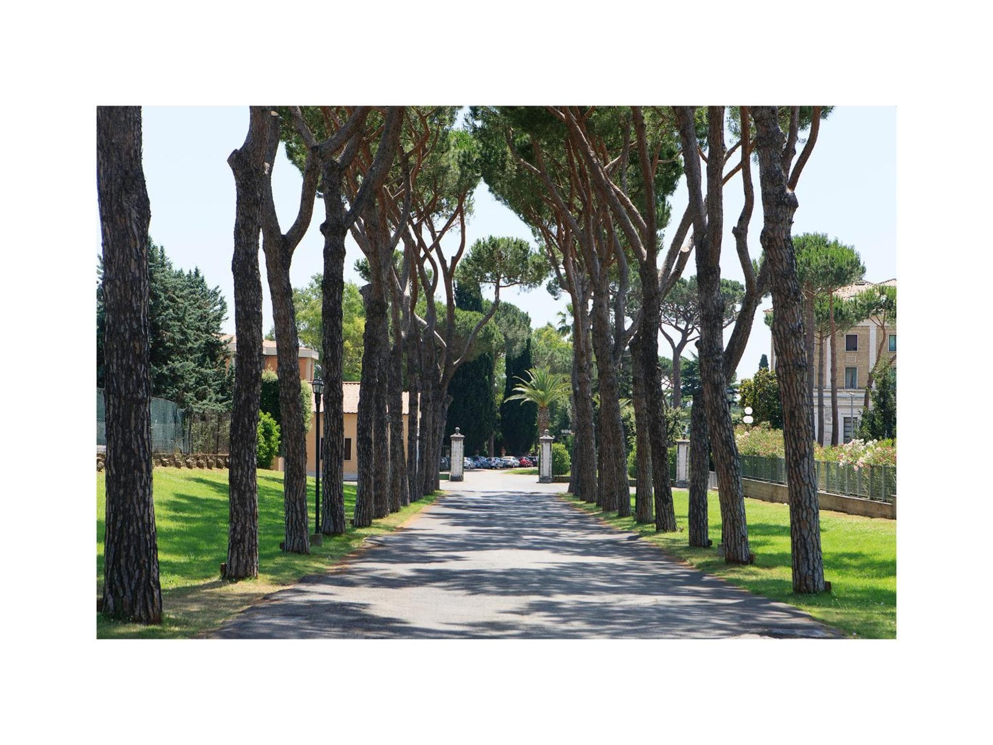 TH Roma - Carpegna Palace — 23