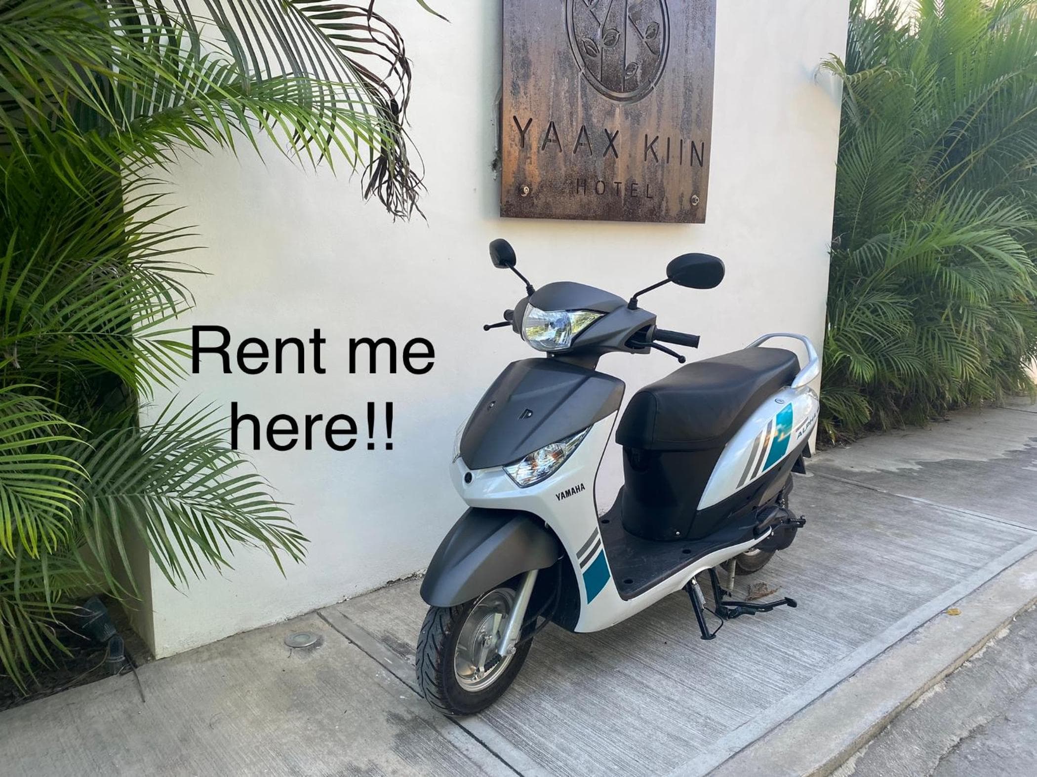 Yaax Kiin Tulum — 30