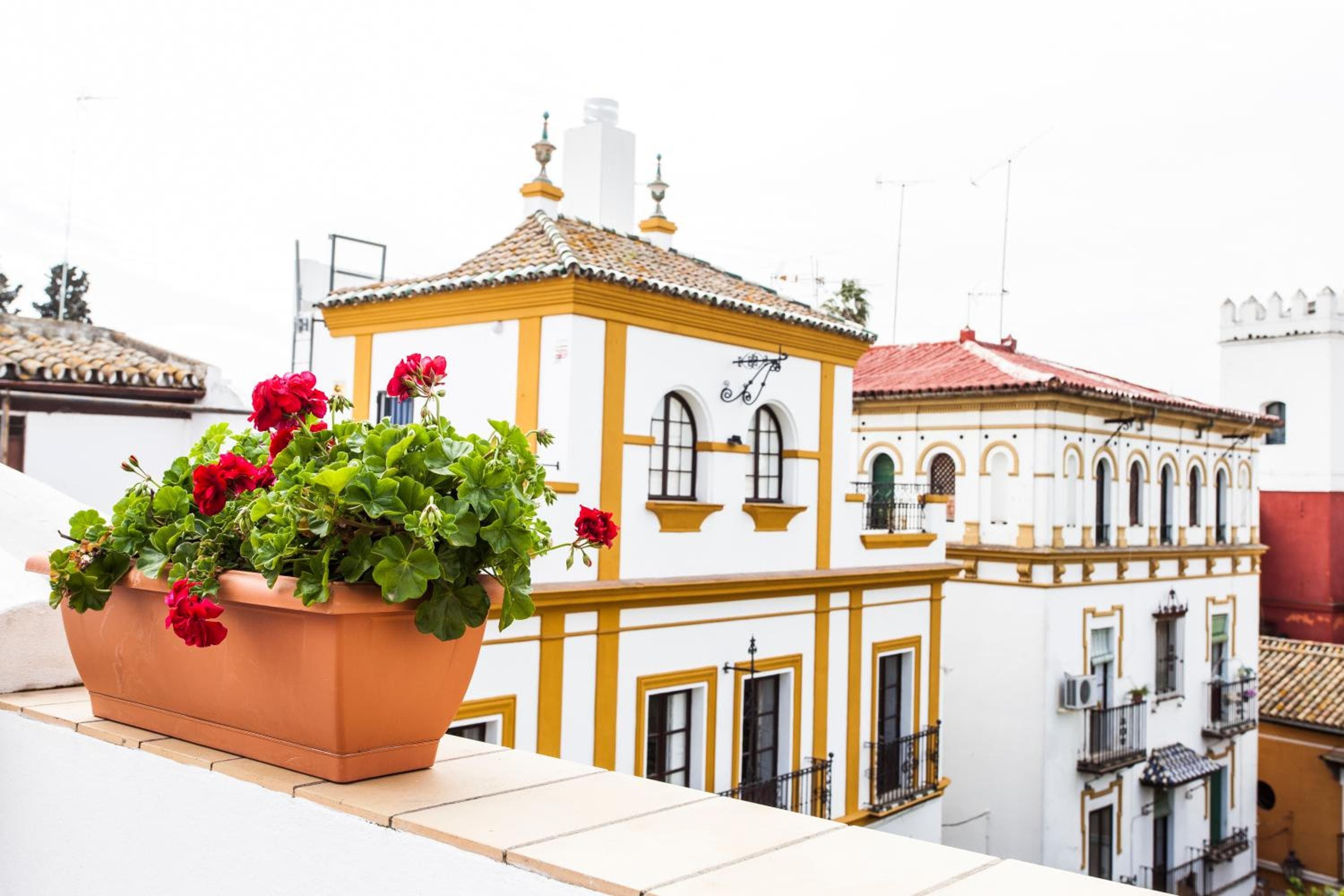 Hotel Boutique Elvira Plaza — 6