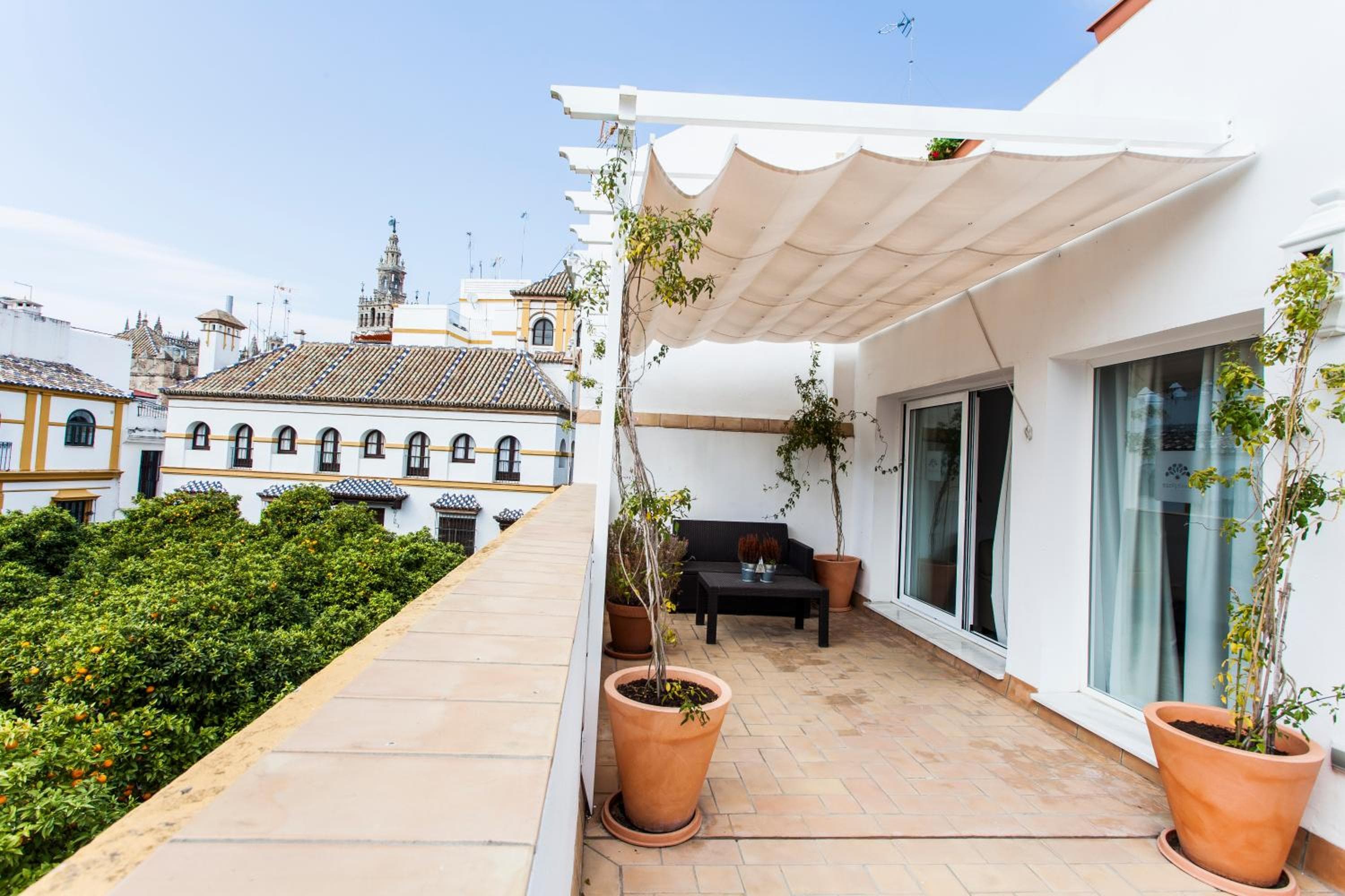 Hotel Boutique Elvira Plaza — 18