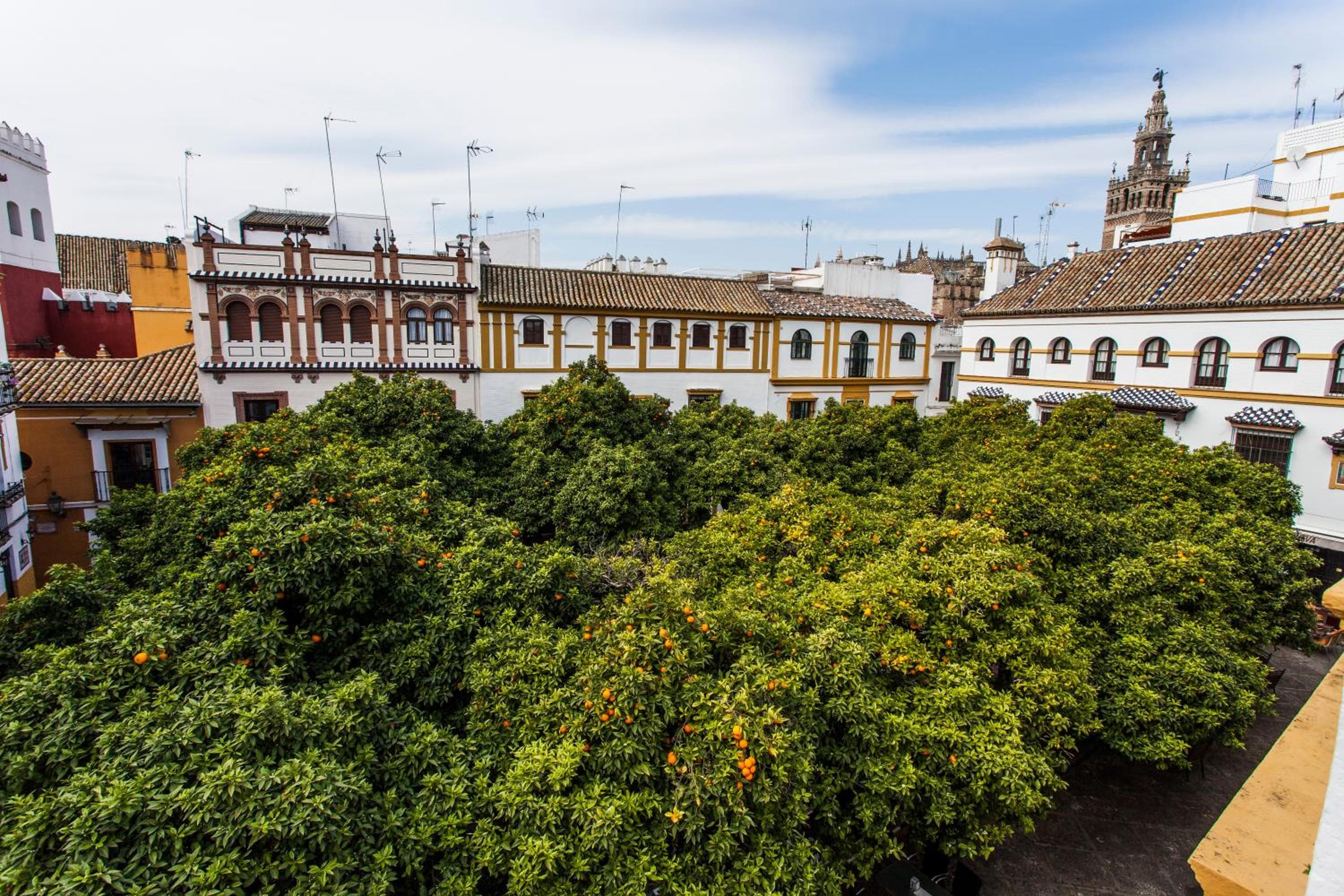 Hotel Boutique Elvira Plaza — 27