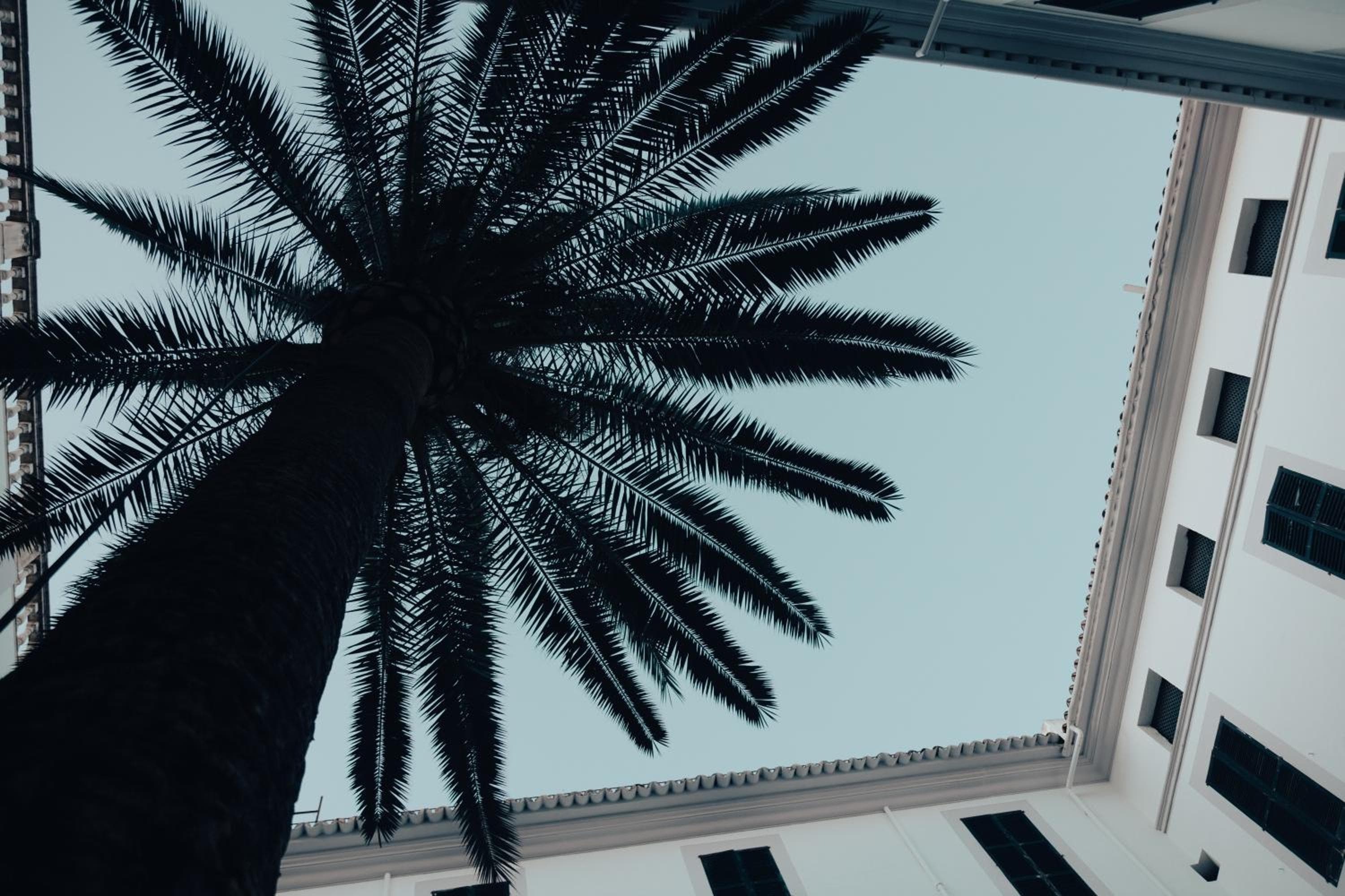 Hotel Born — 5