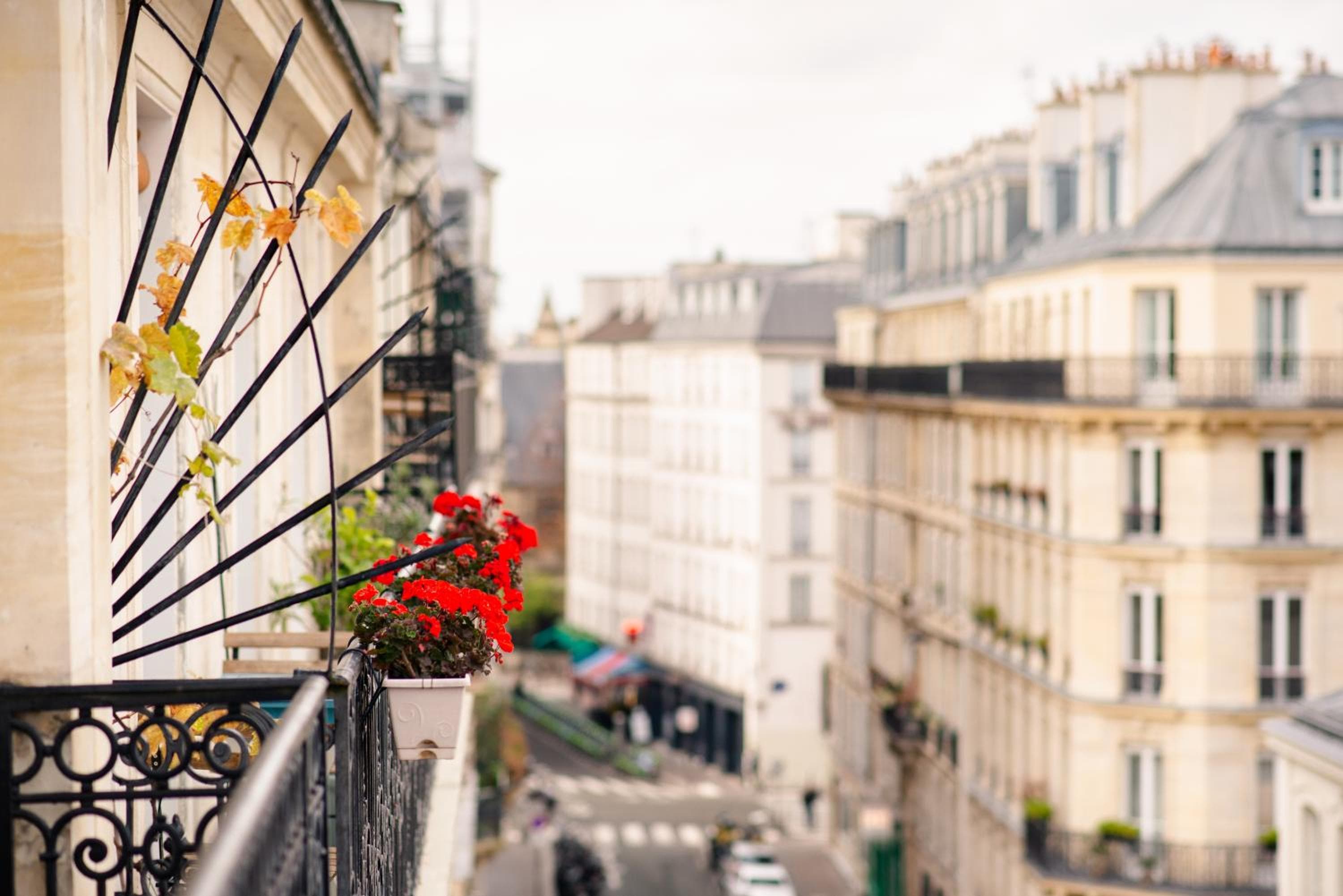 Hôtel Jardin de Cluny — 3