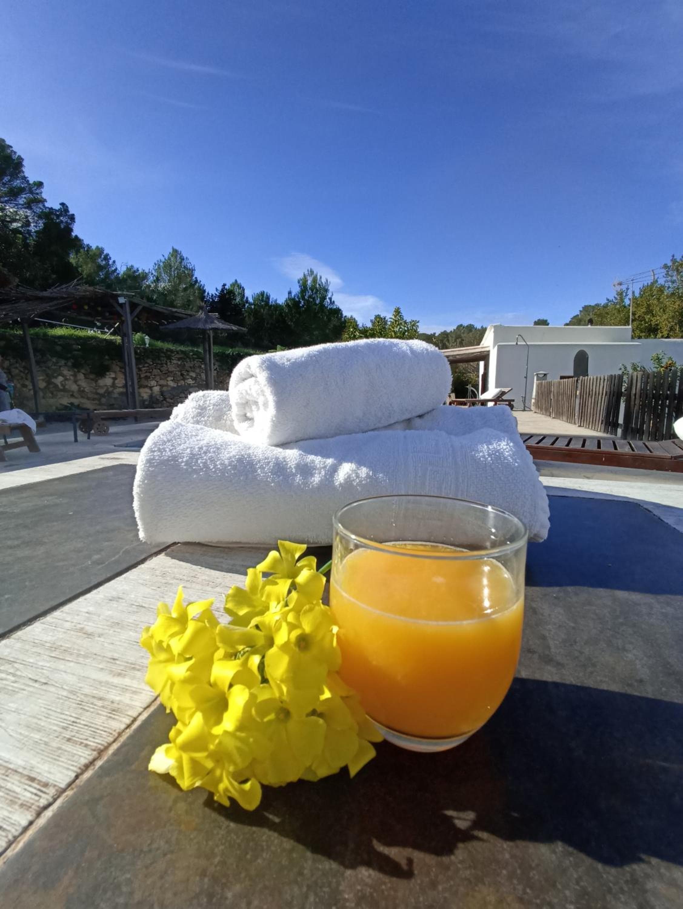 Villa Can Mestreso Suite Ibiza — 2