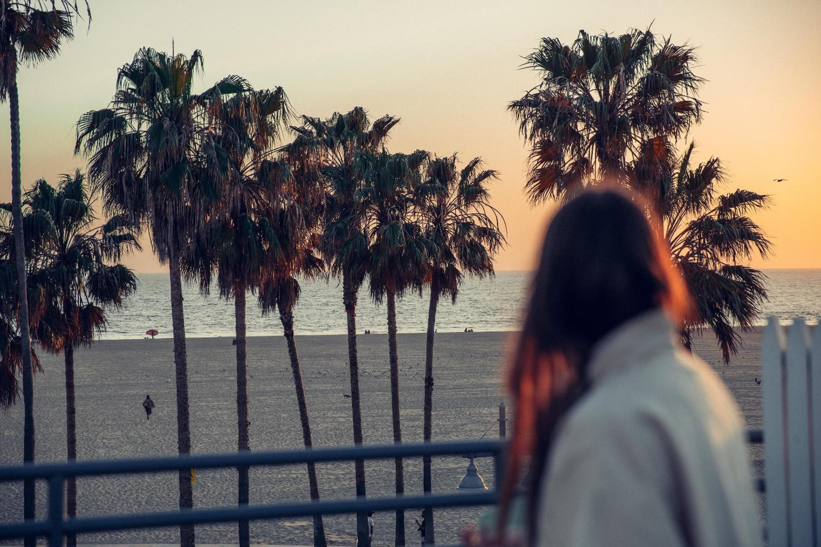 STAY OPEN Venice Beach — 1