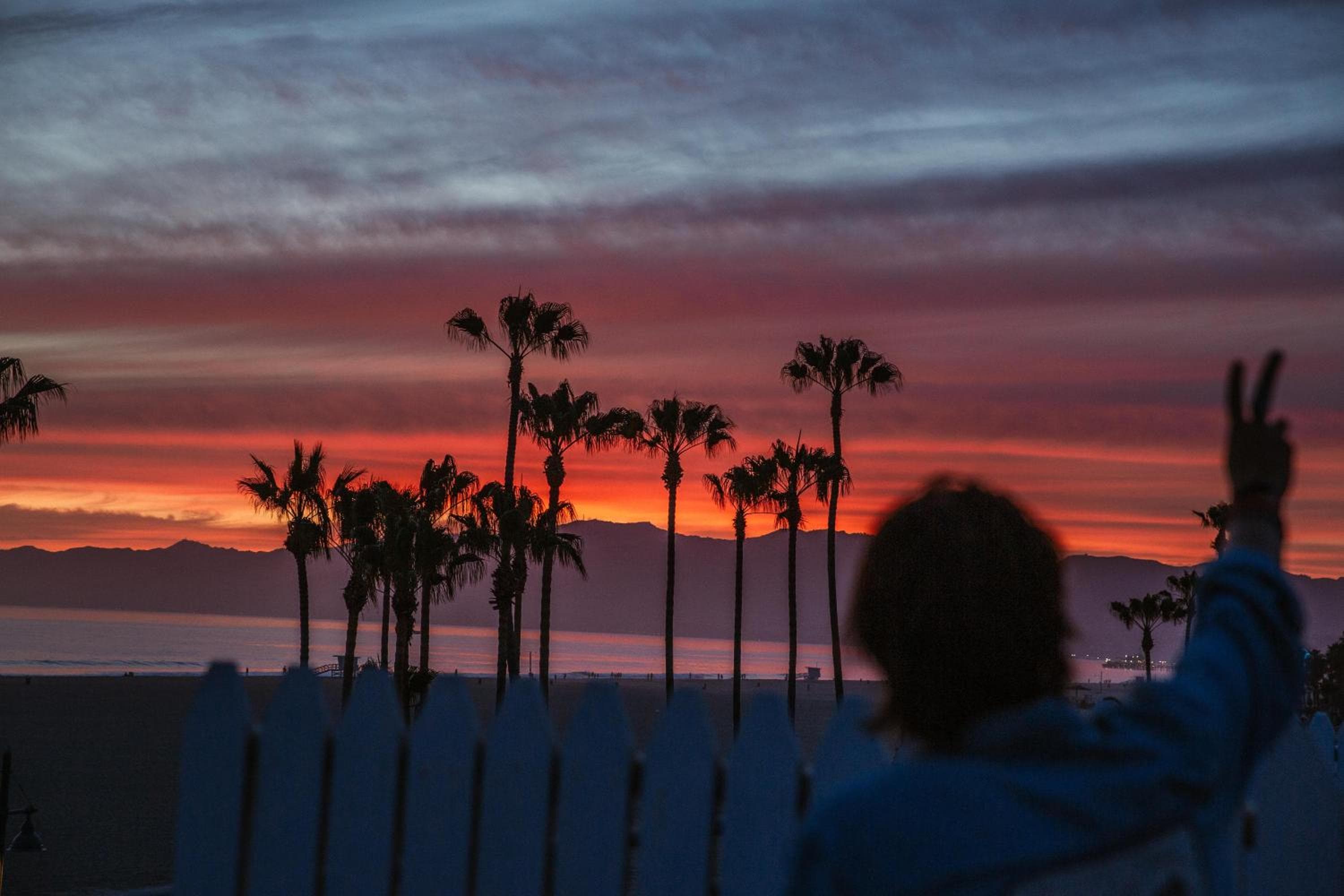 STAY OPEN Venice Beach — 5