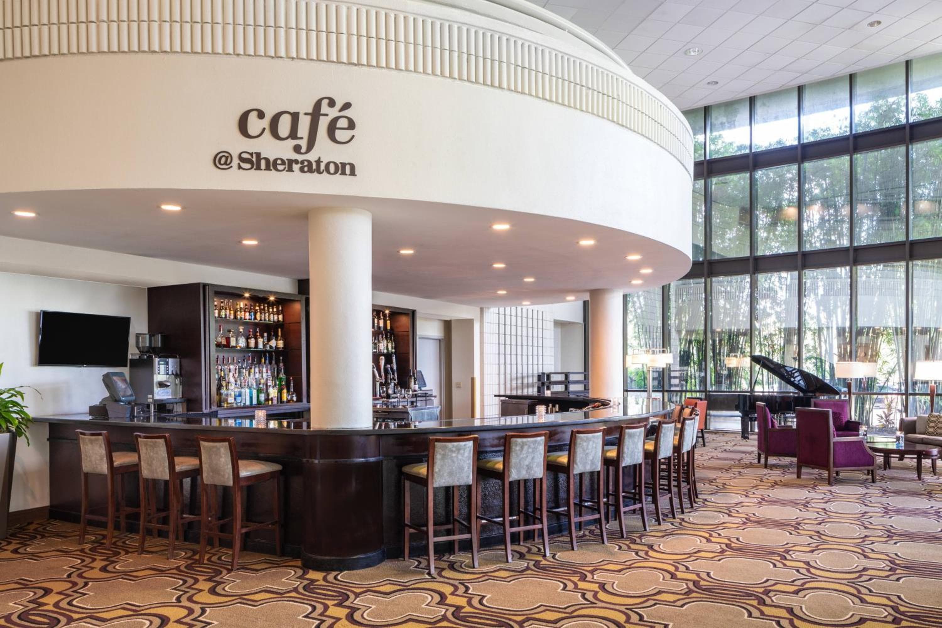 Sheraton Tampa Brandon Hotel — 23