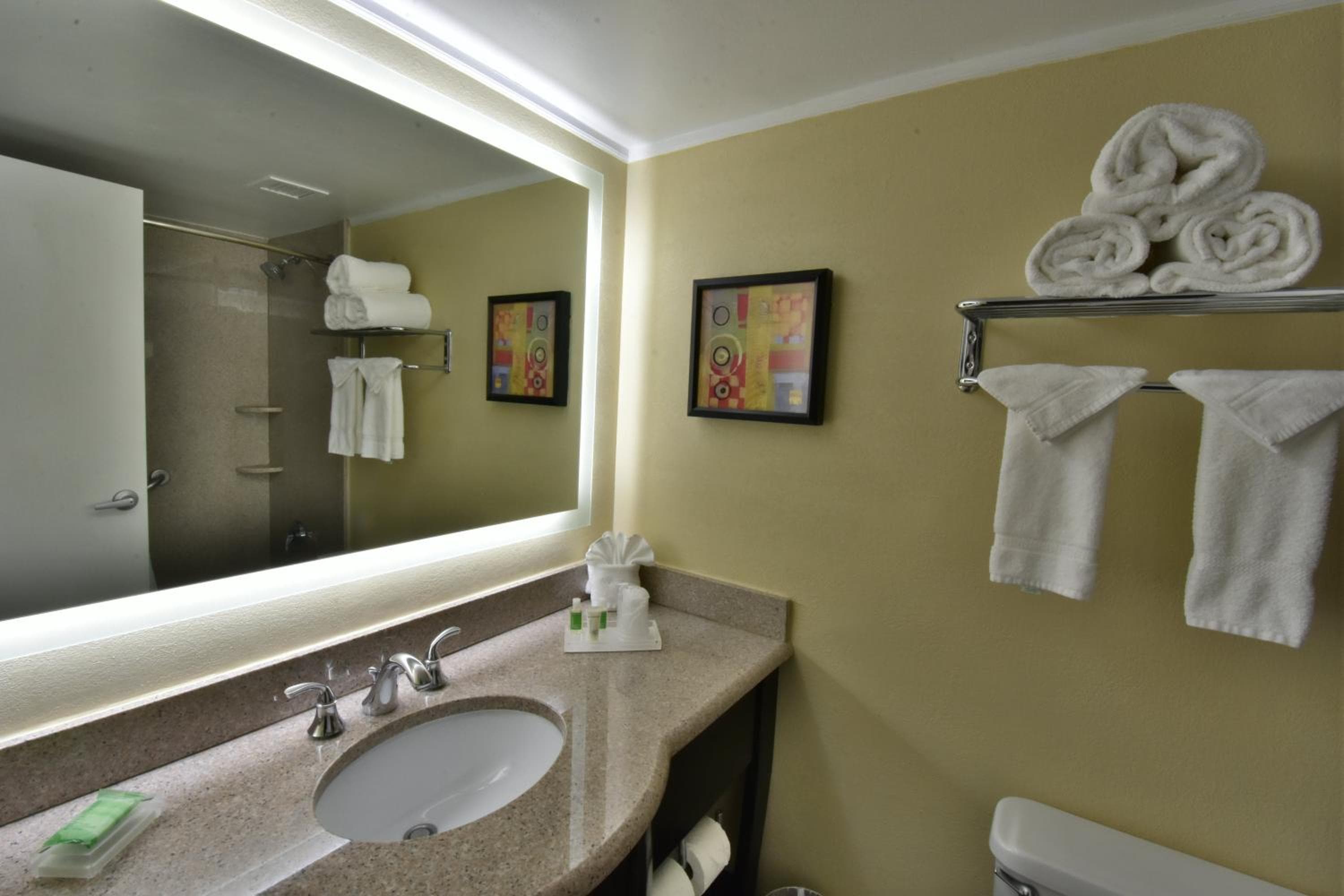 Holiday Inn Orlando East-UCF Area by IHG — 26