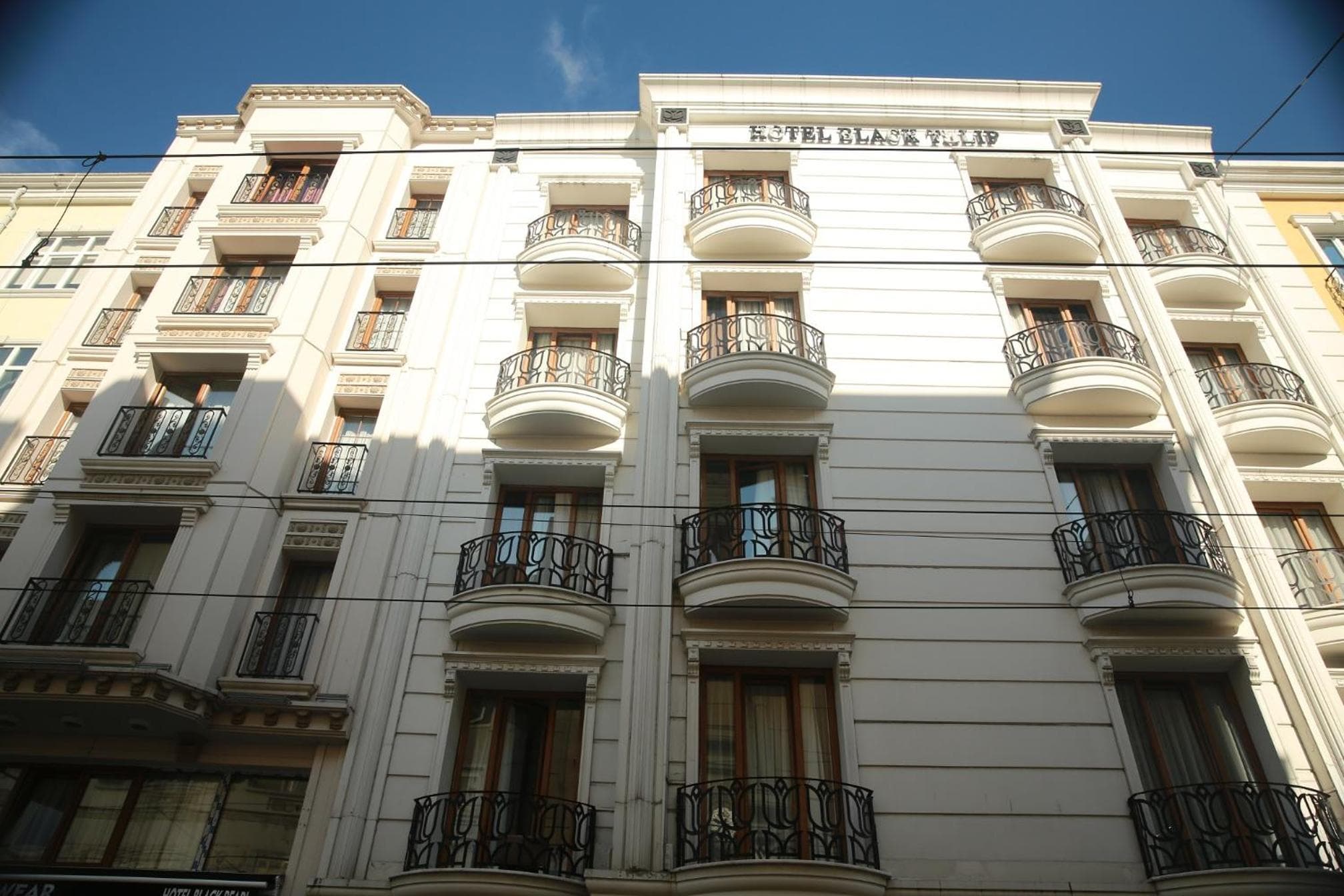 Hotel Tulipán Negro — 1
