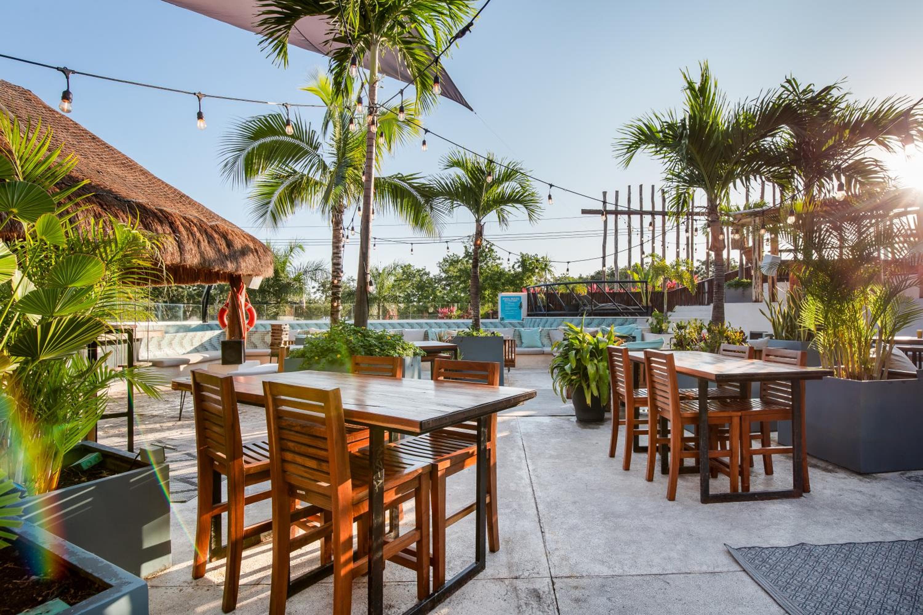 Mayan Monkey Tulum - Social Hostel — 9