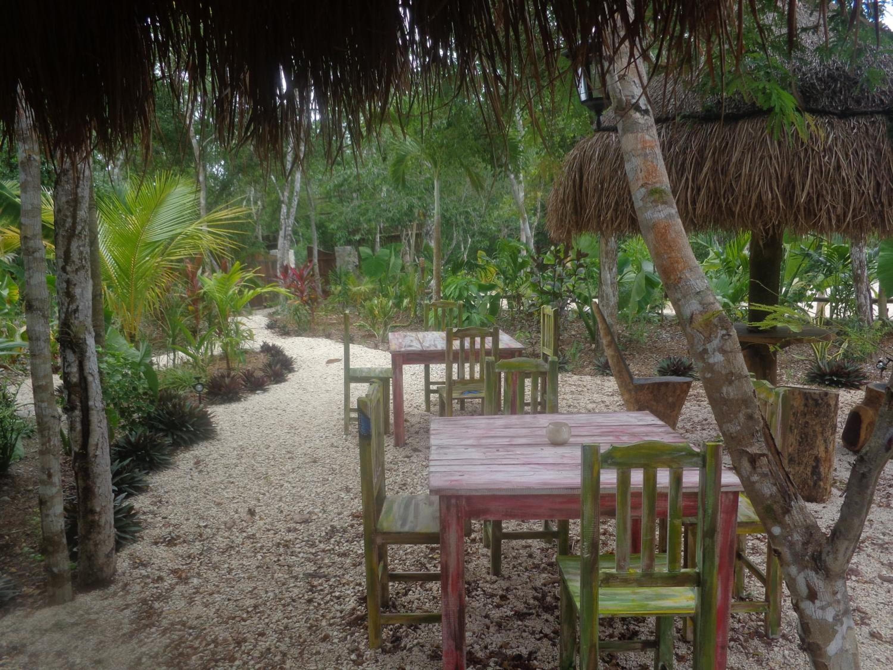 Casa Mango — 29