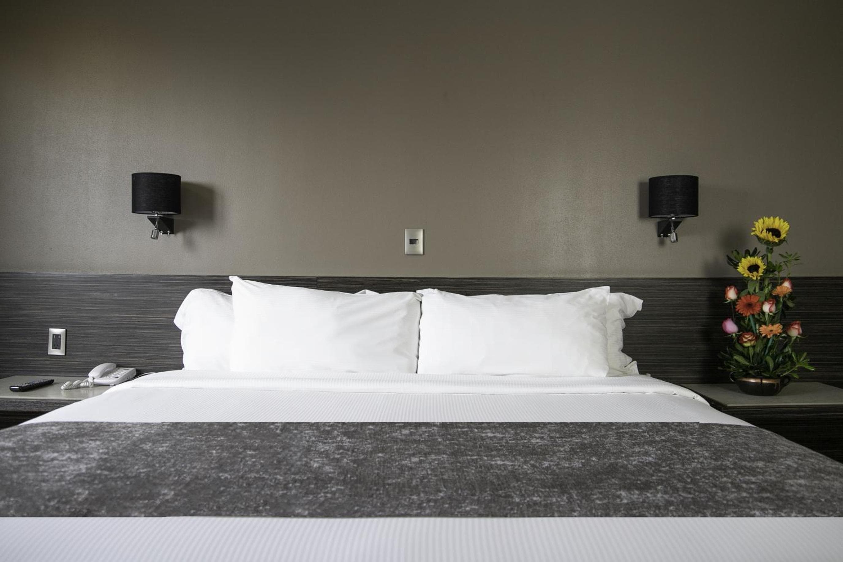 Hotel Brasilia — 27
