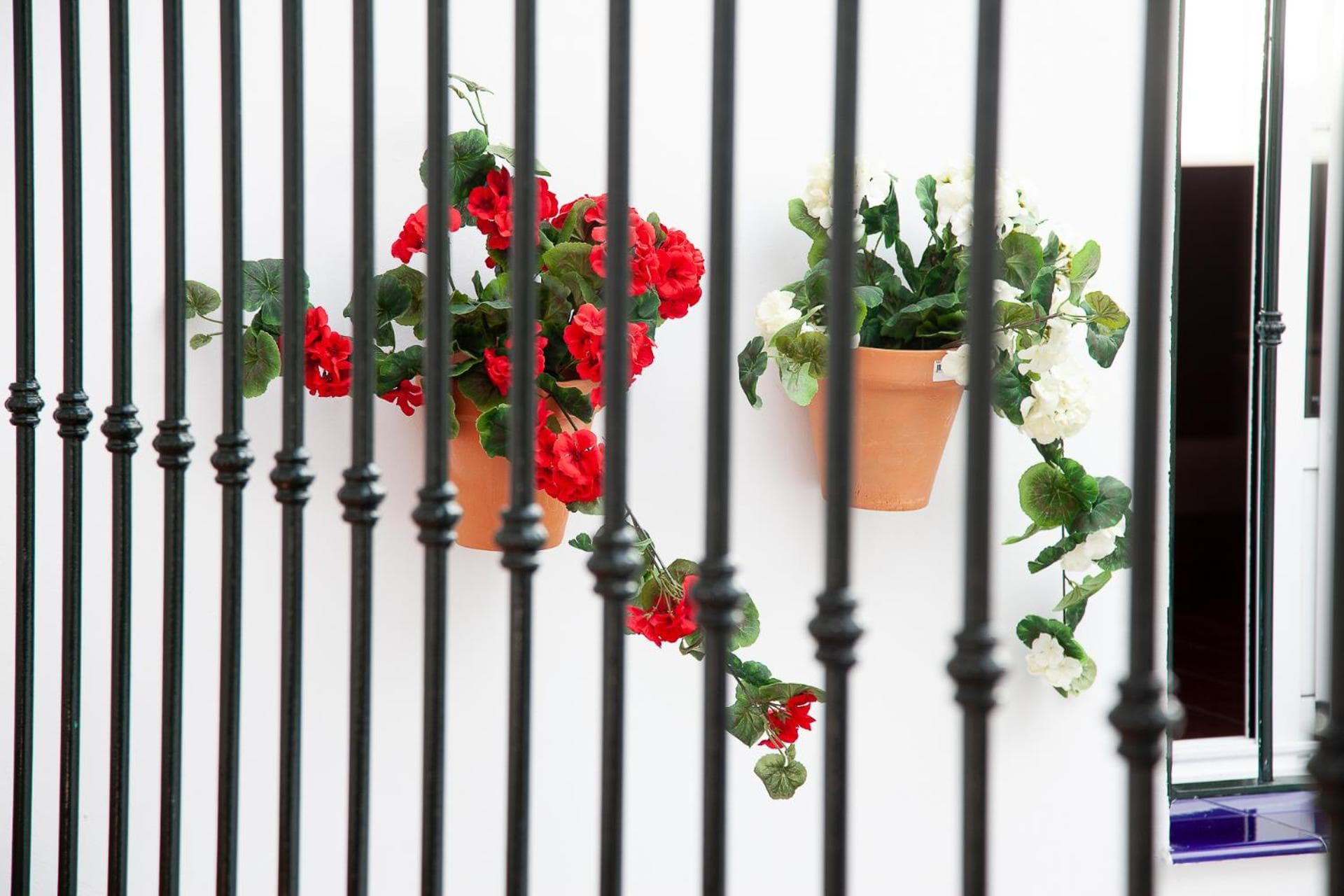 Notti a Triana — 11
