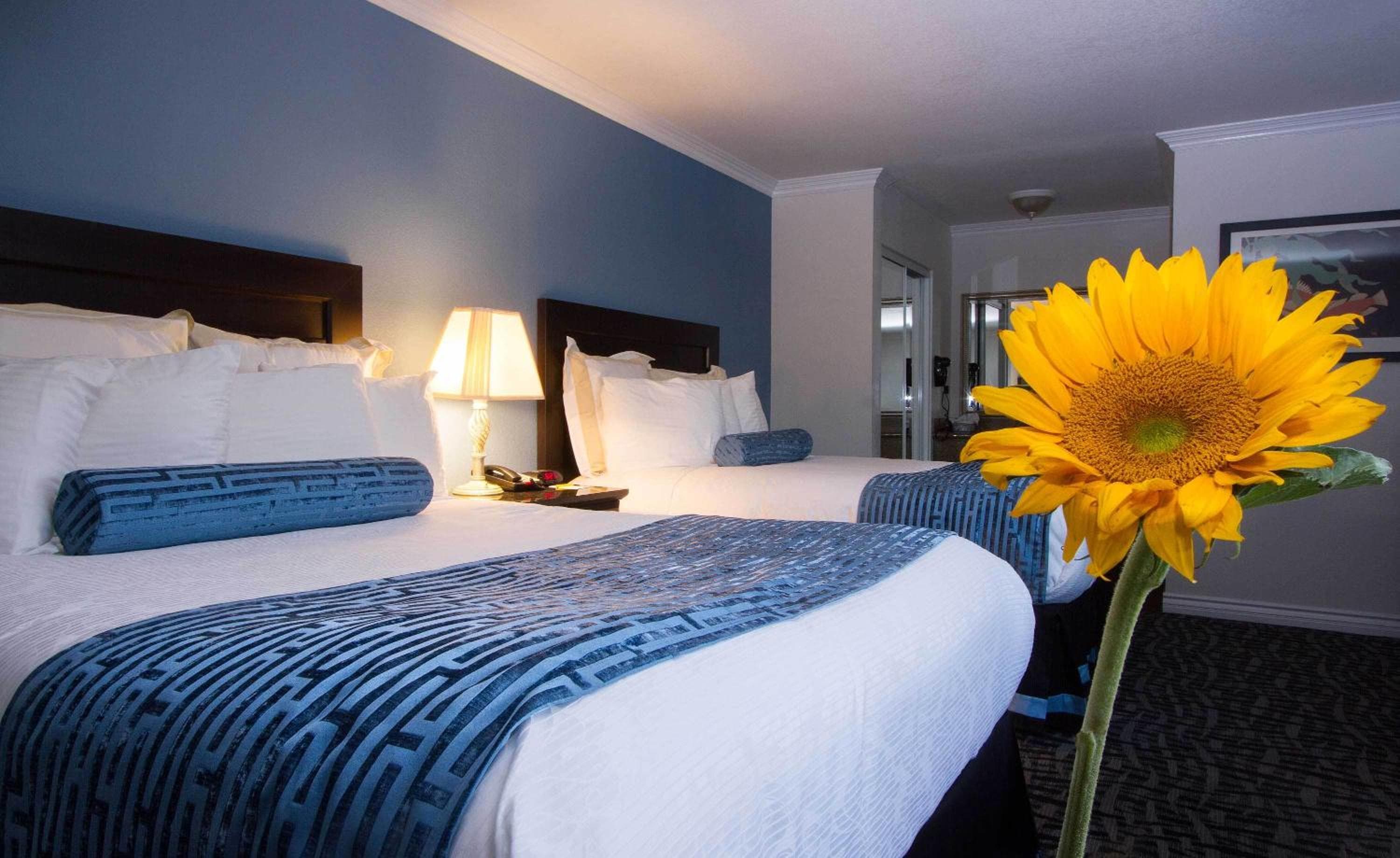 Regency Inn en Los Ángeles — 4