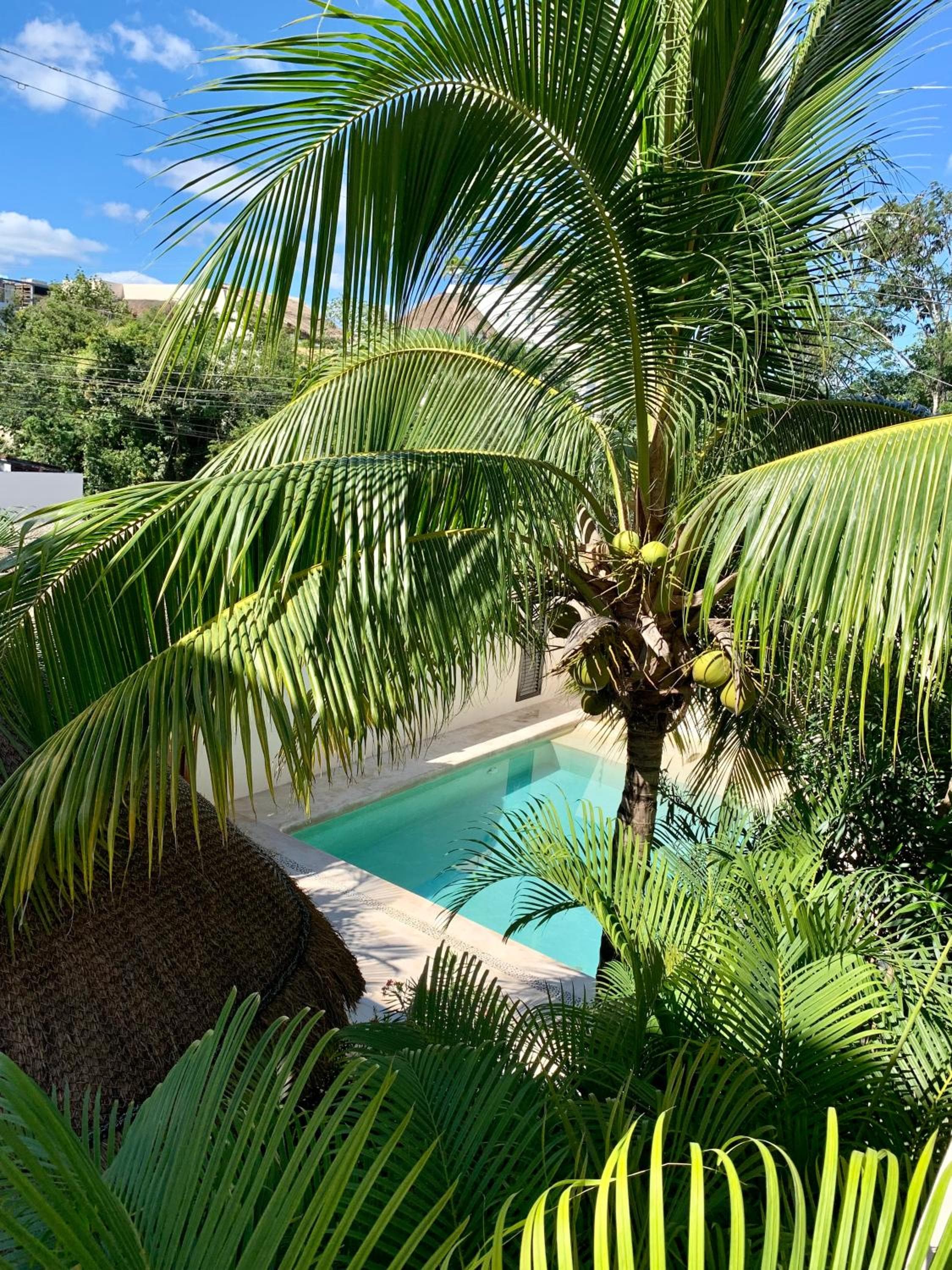 Tua Tulum Apartments spaziosi e confortevoli — 29