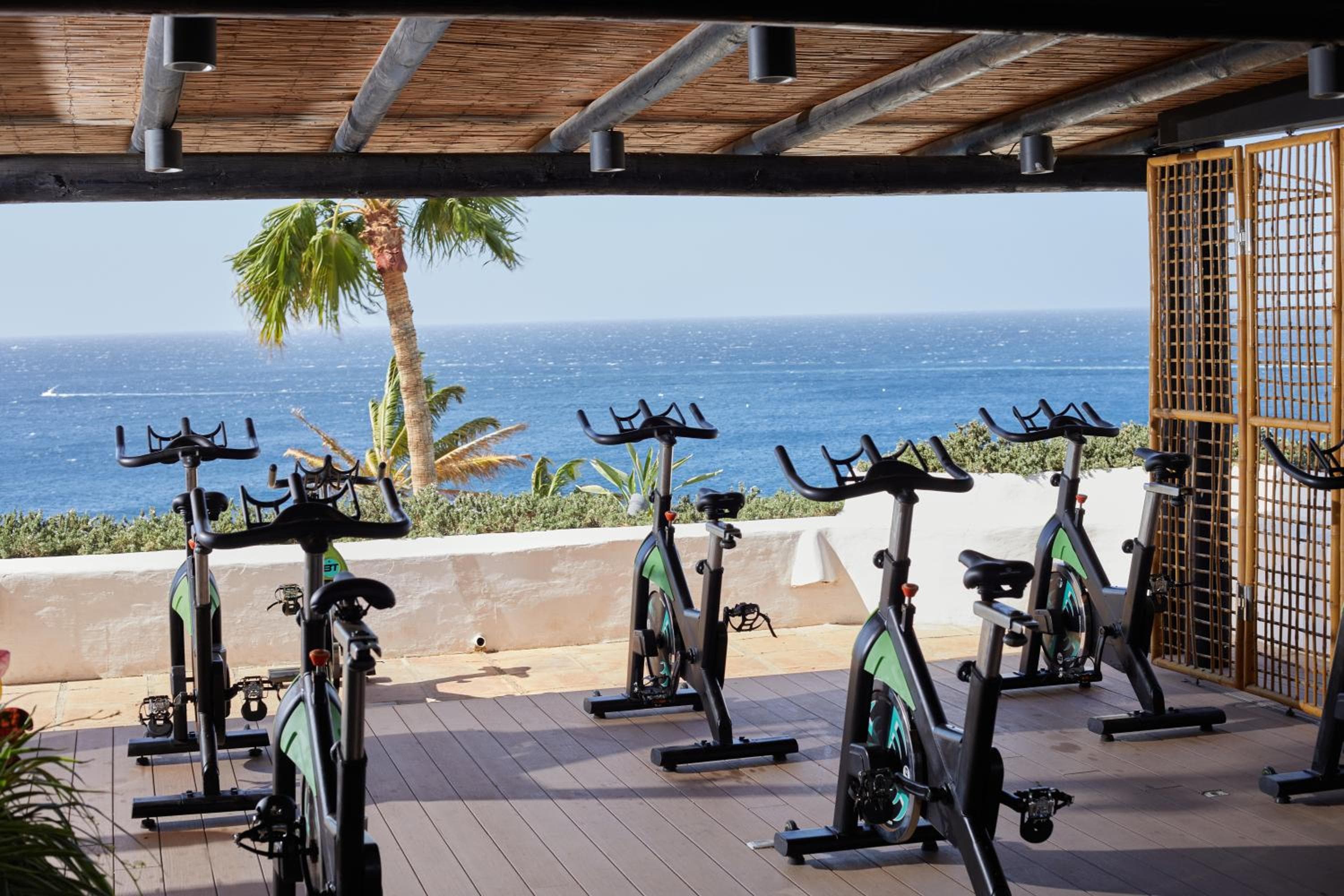 Hyatt Ziva Jardín Tropical Tenerife — 11
