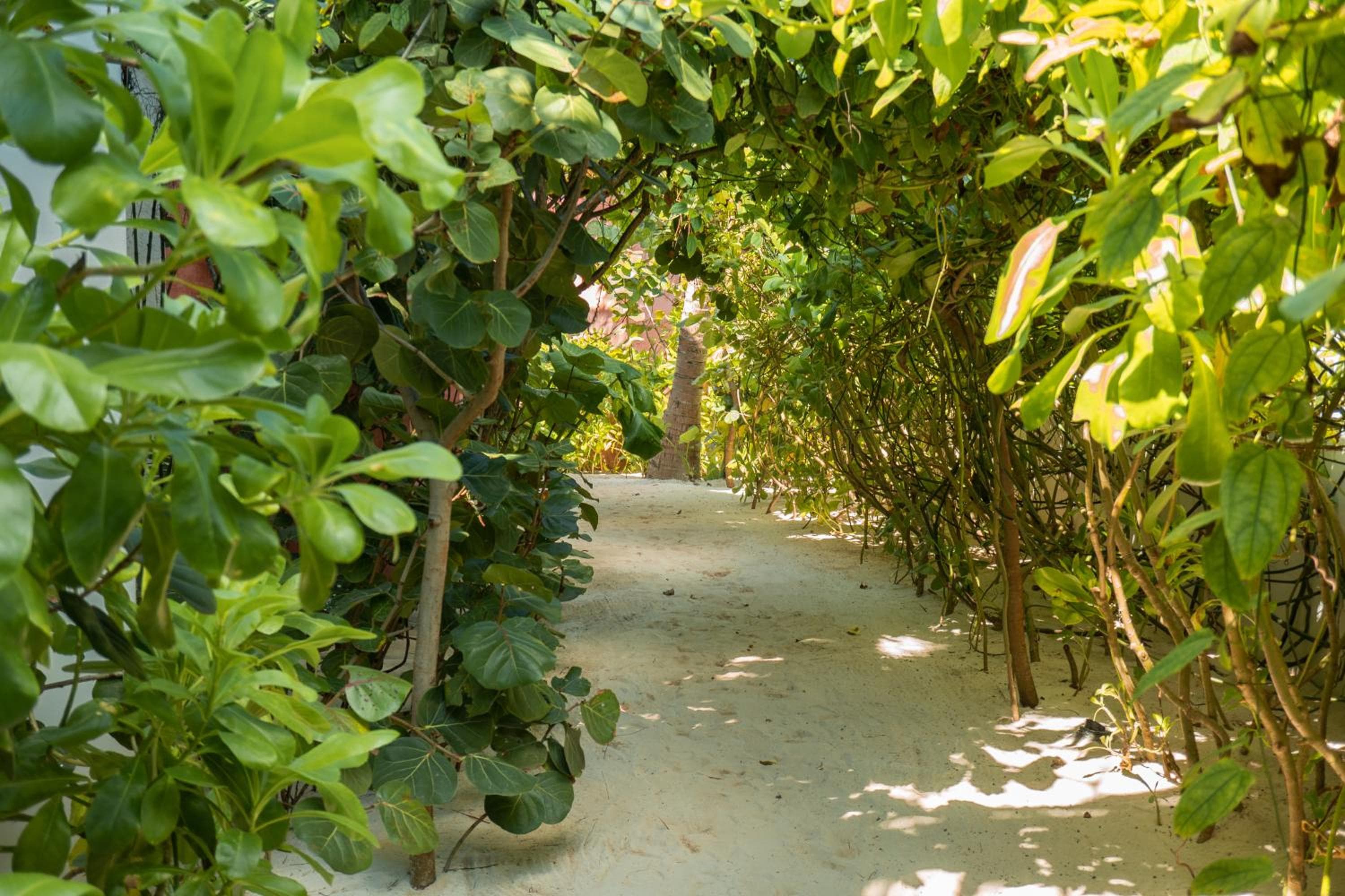 Tago Tulum de G Hoteles — 21