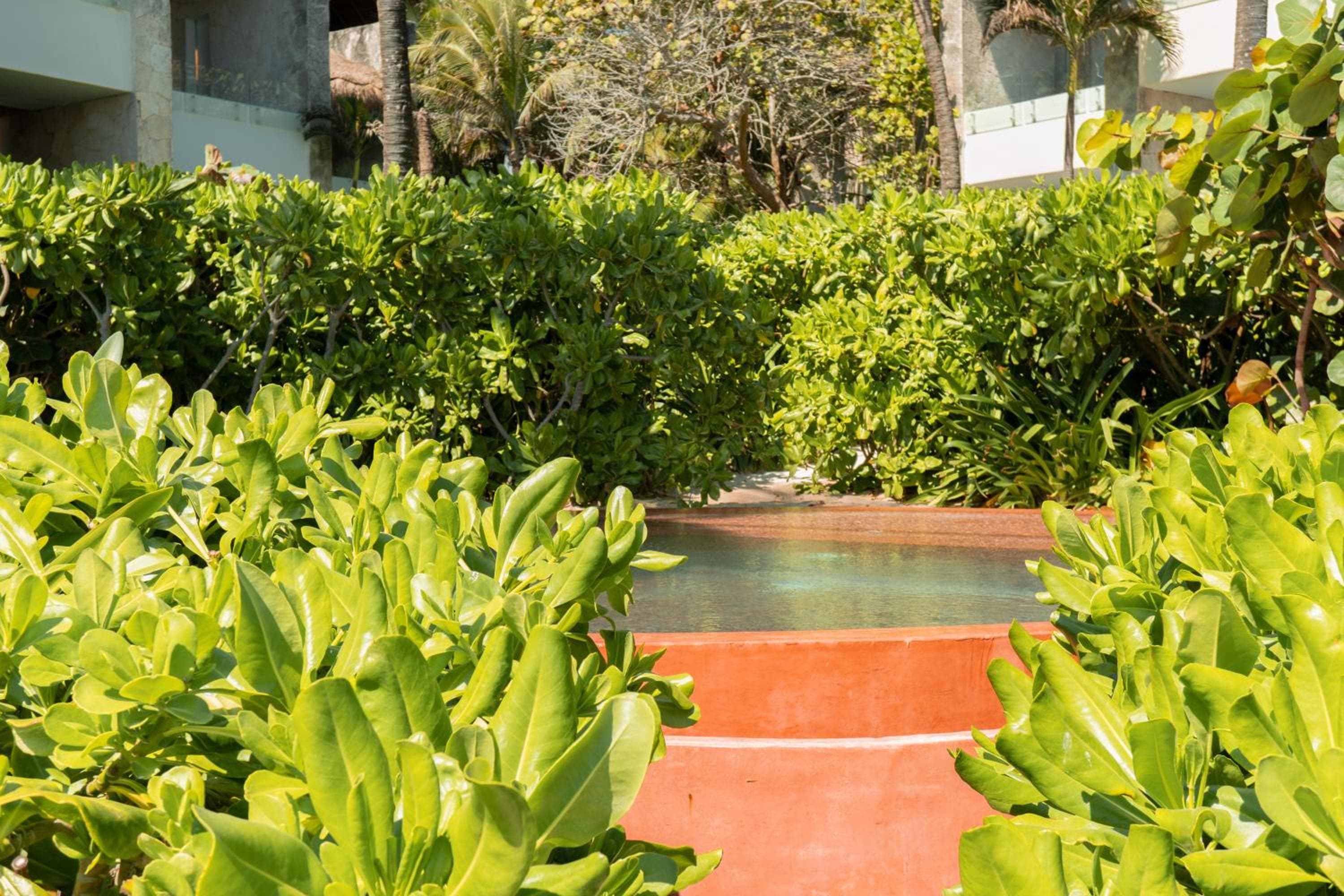 Tago Tulum de G Hoteles — 20