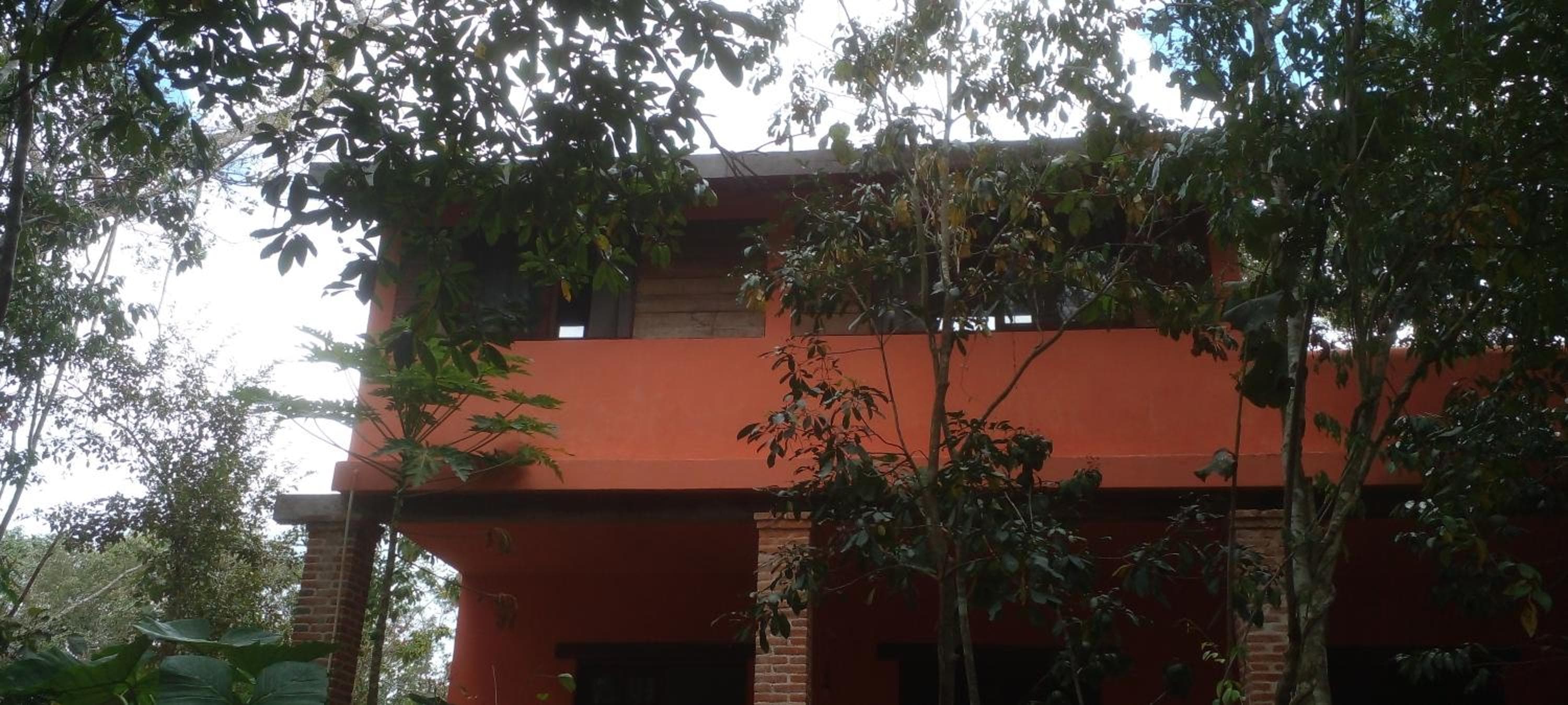 Casa Mango — 10