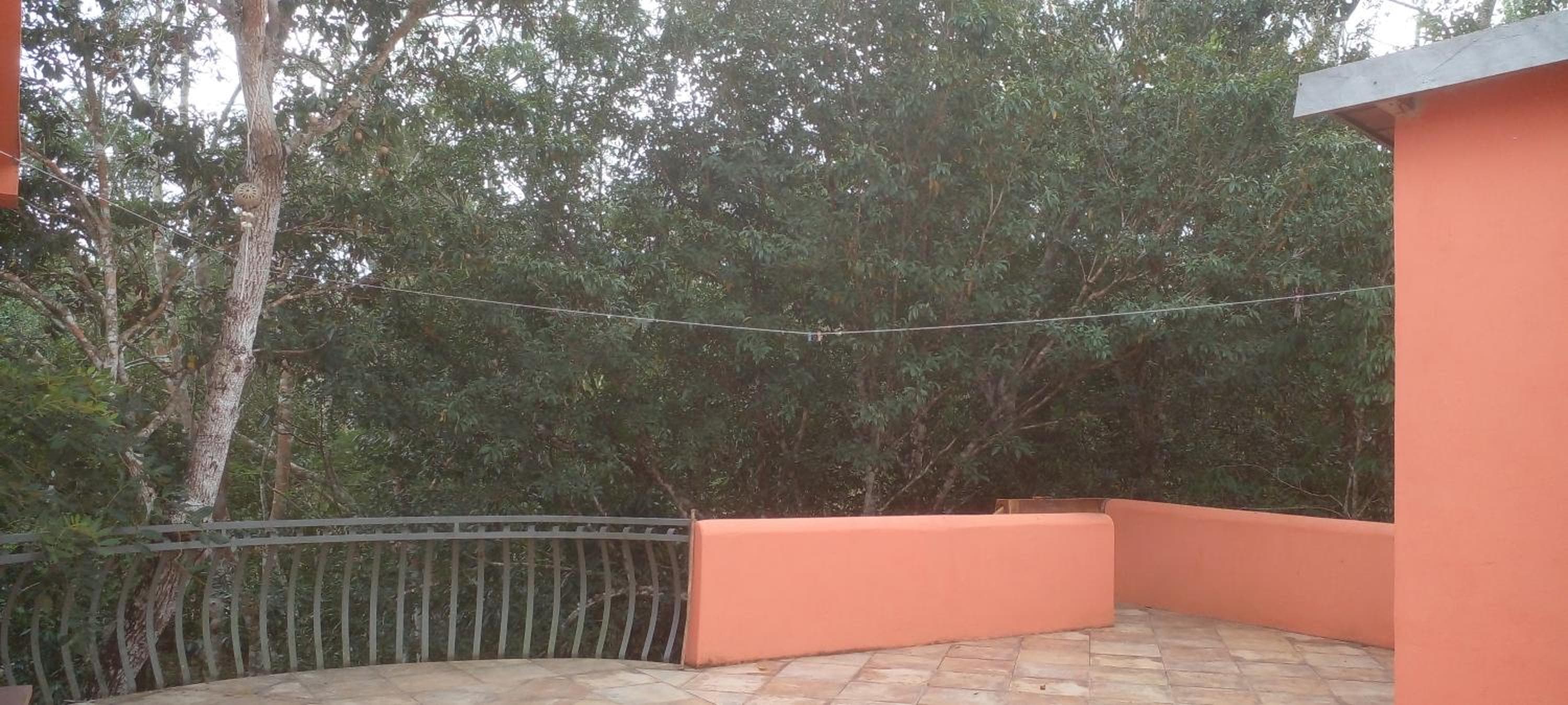 Casa Mango — 12