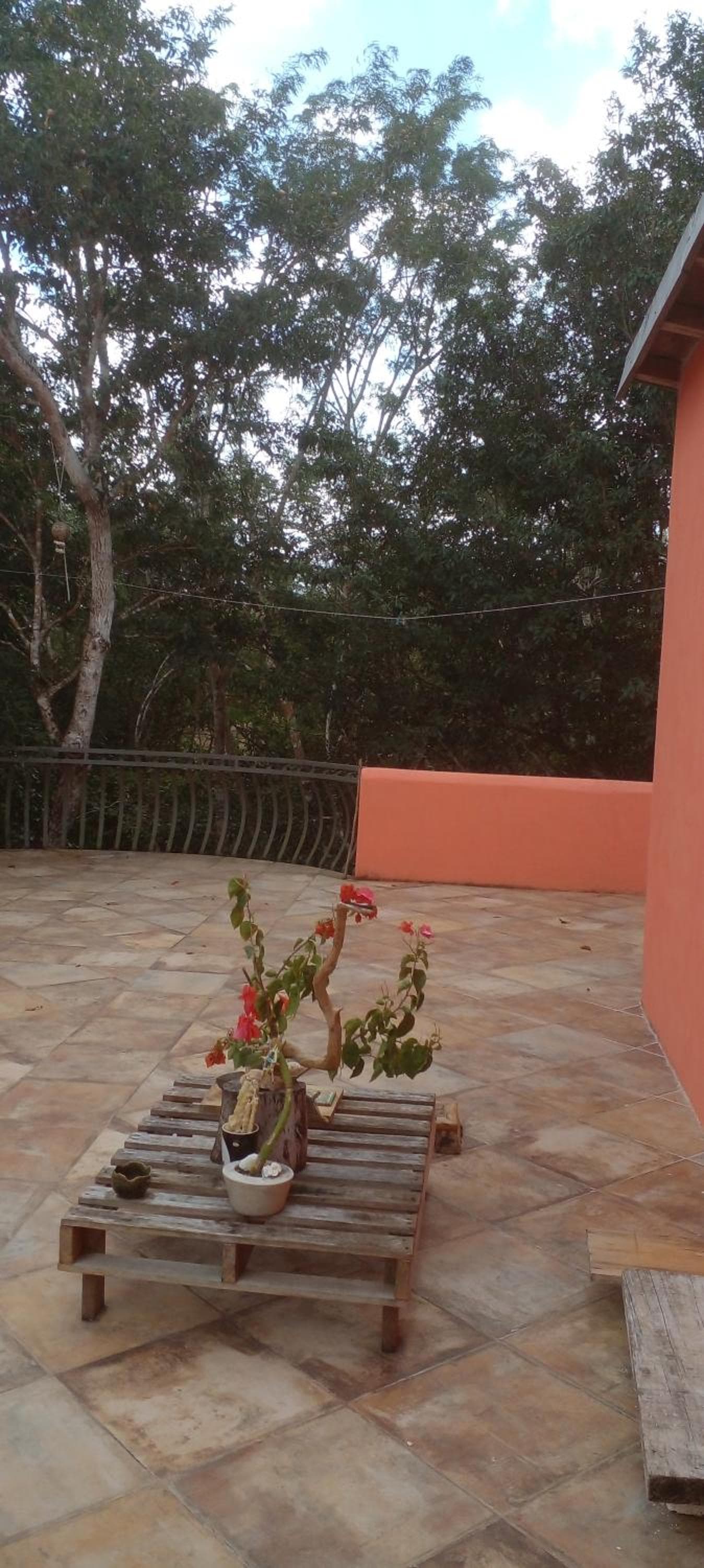 Casa Mango — 15