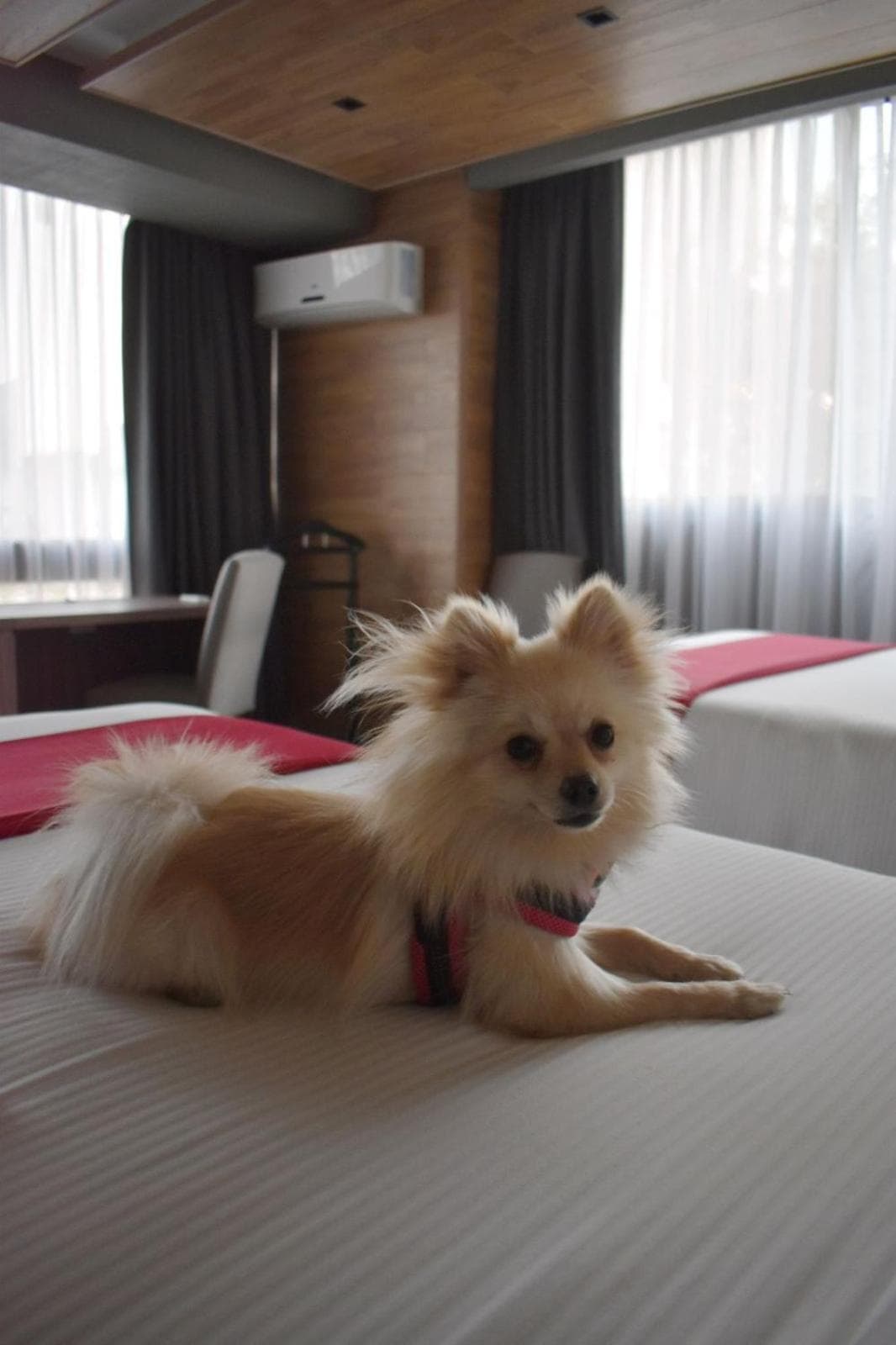 Hotel Park Nilo Reforma — 24
